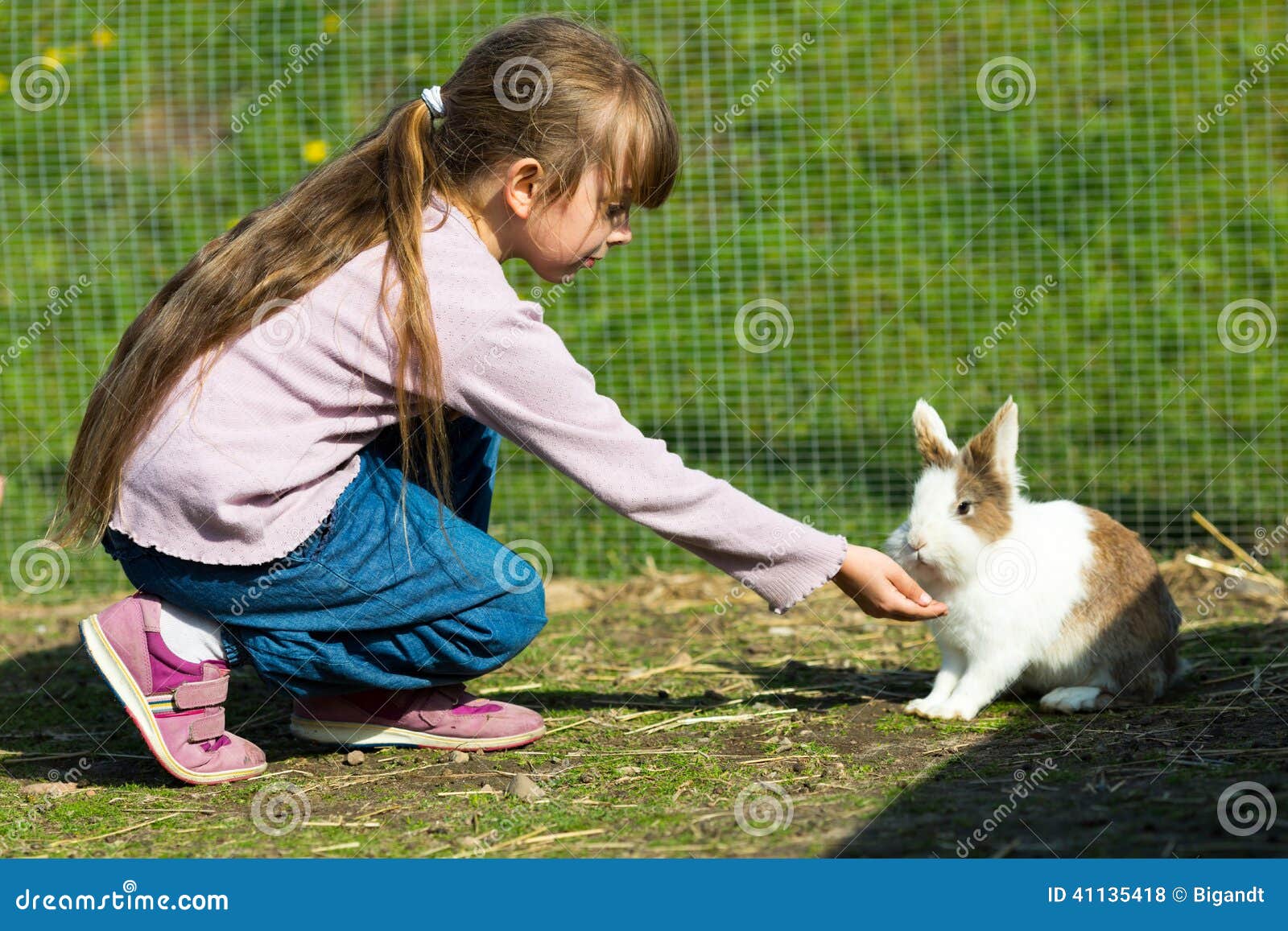 girl feeding rabbit