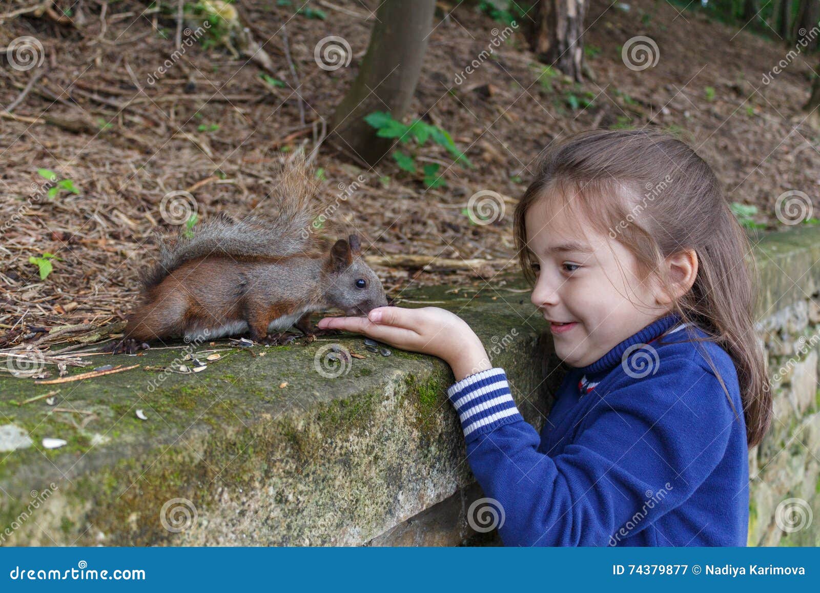 Girl Feeding Squirrel in Autumn Park. Stock Image - Image of girl, feed ...