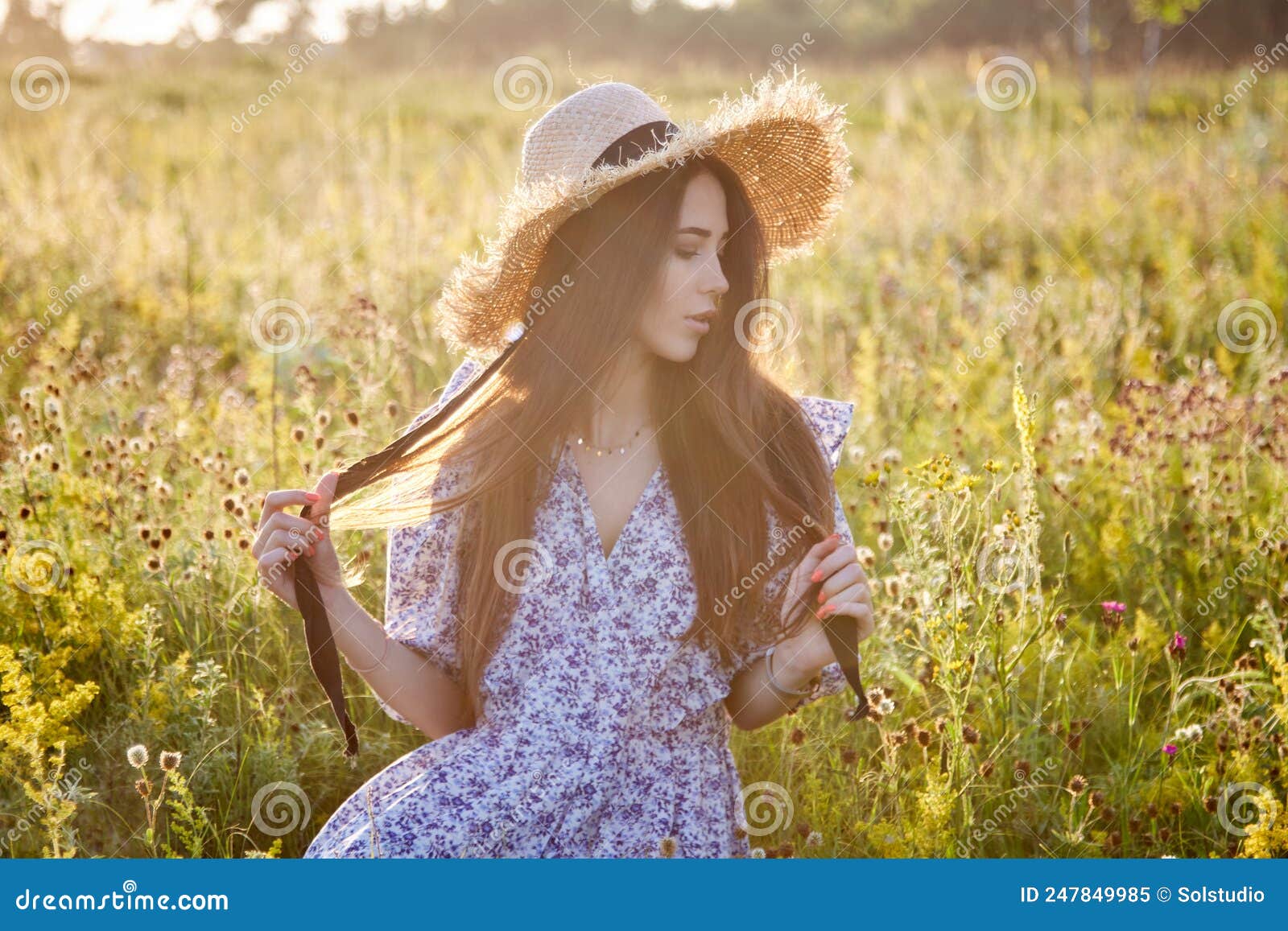 Girl in the field stock image. Image of happiness, meadow - 247849985