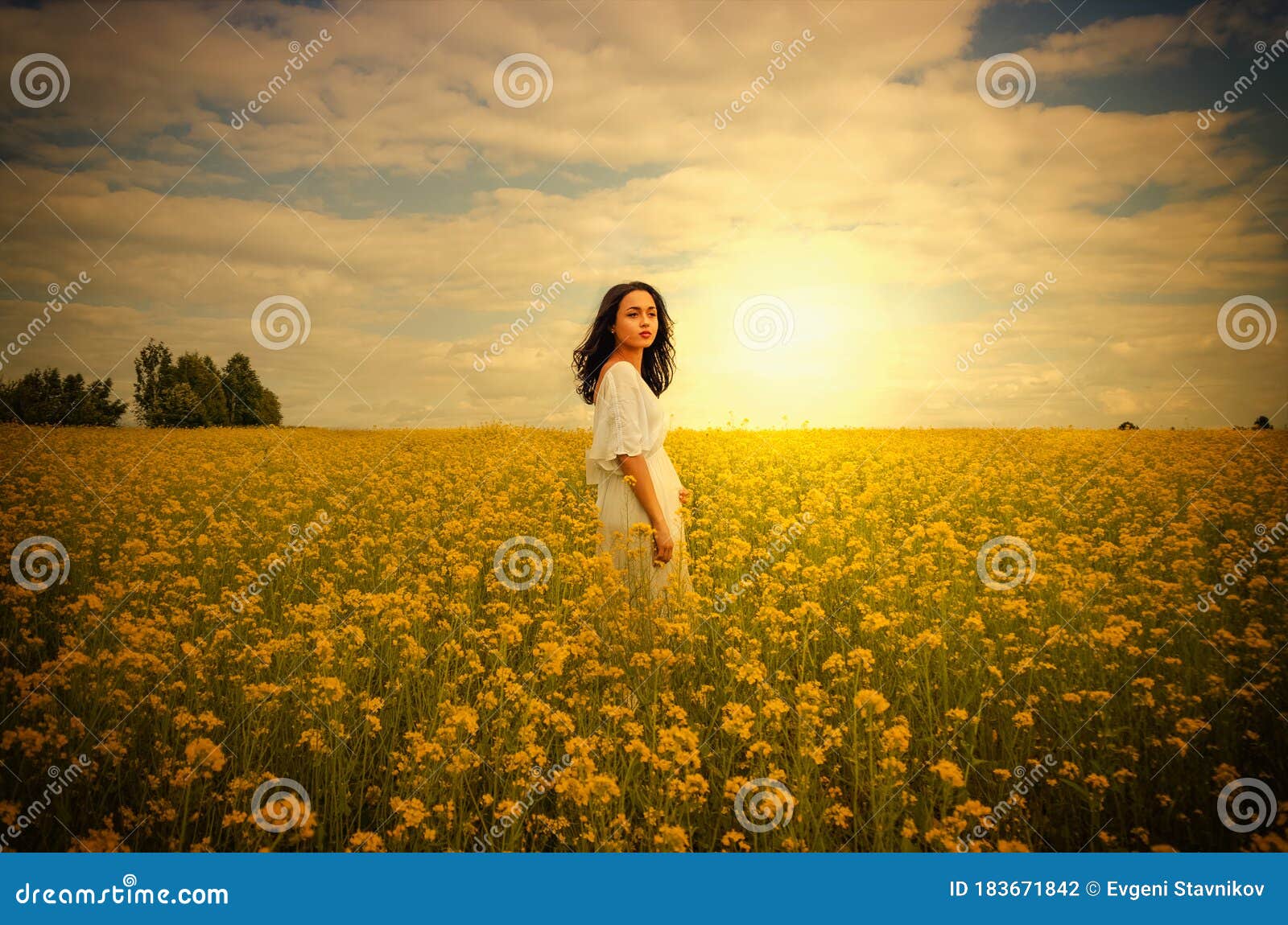 girl in field sunset