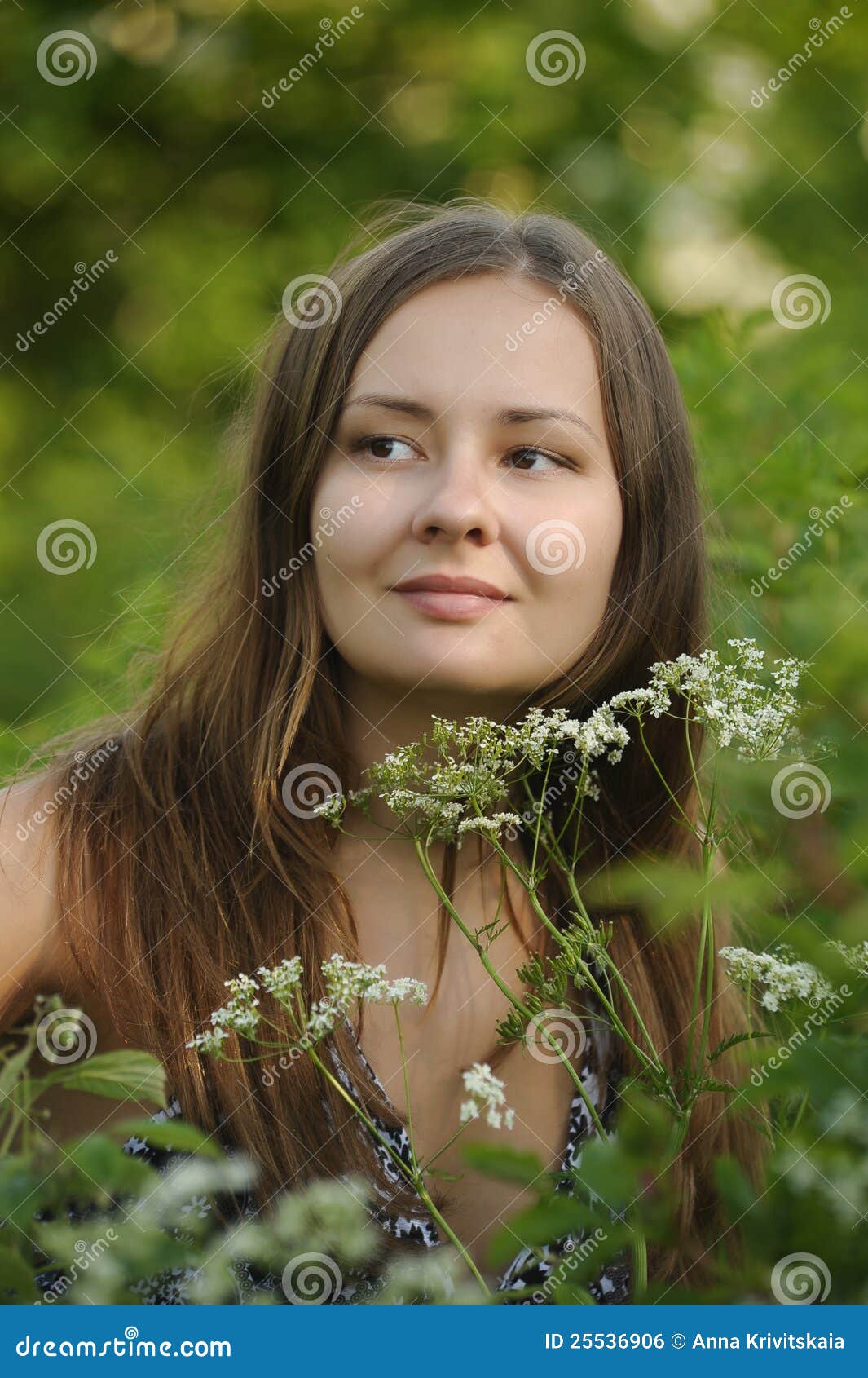 Girl in a Field of Tall Grasses Stock Photo - Image of beautiful ...