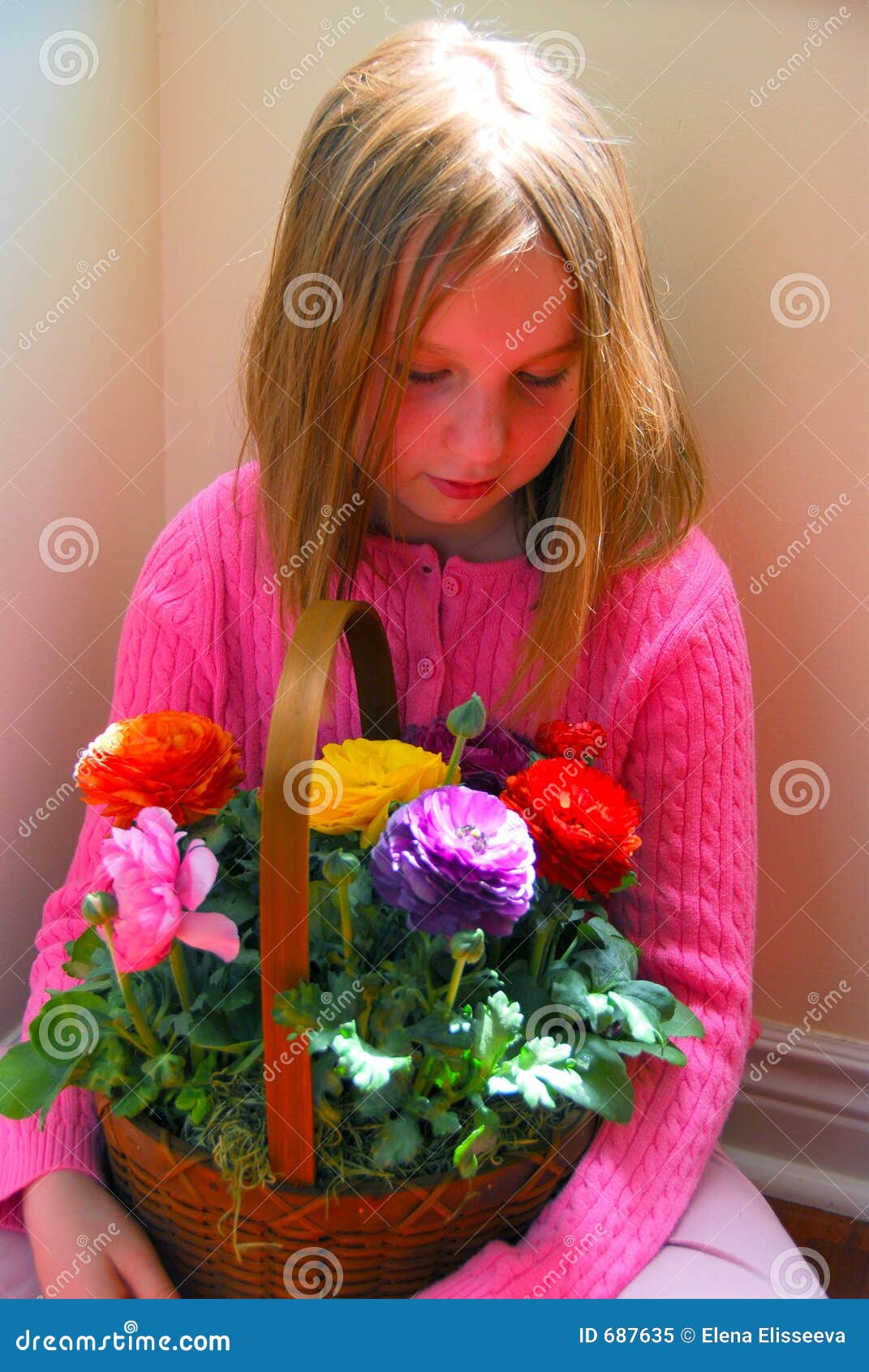Girl with flower basket stock image. Image of basket, children 687635