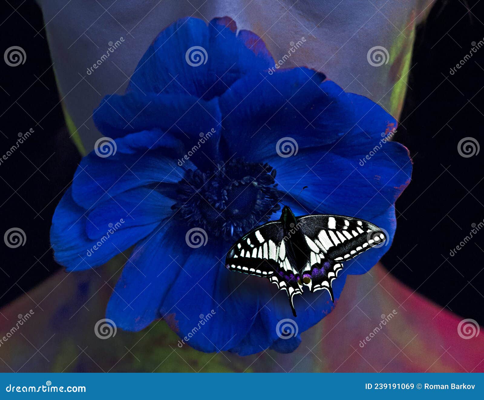 Girl with a Flower and a Butterfly in Ultraviolet Light Stock Image