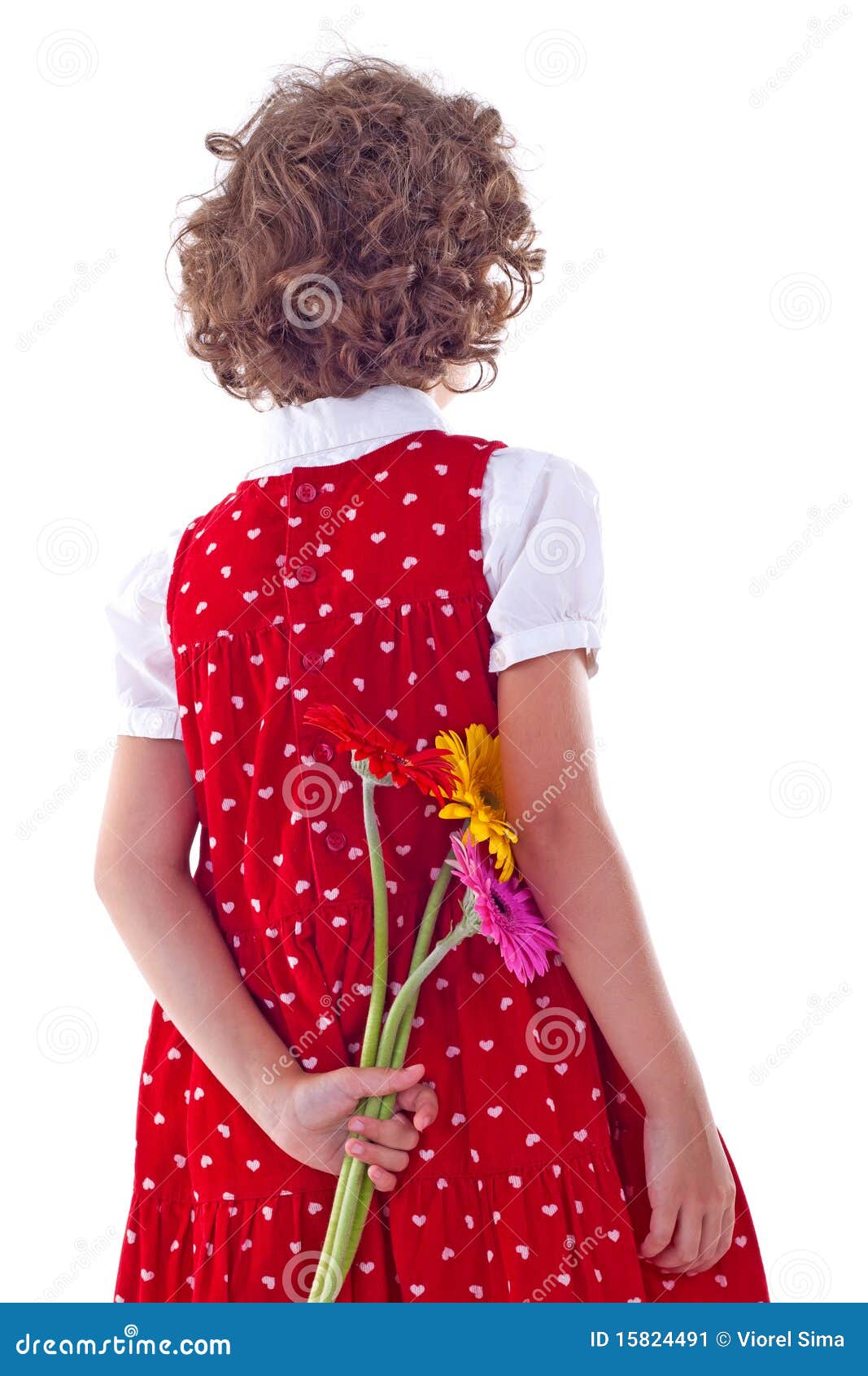 Girl with flower surprise stock image. Image of gerbera 15824491