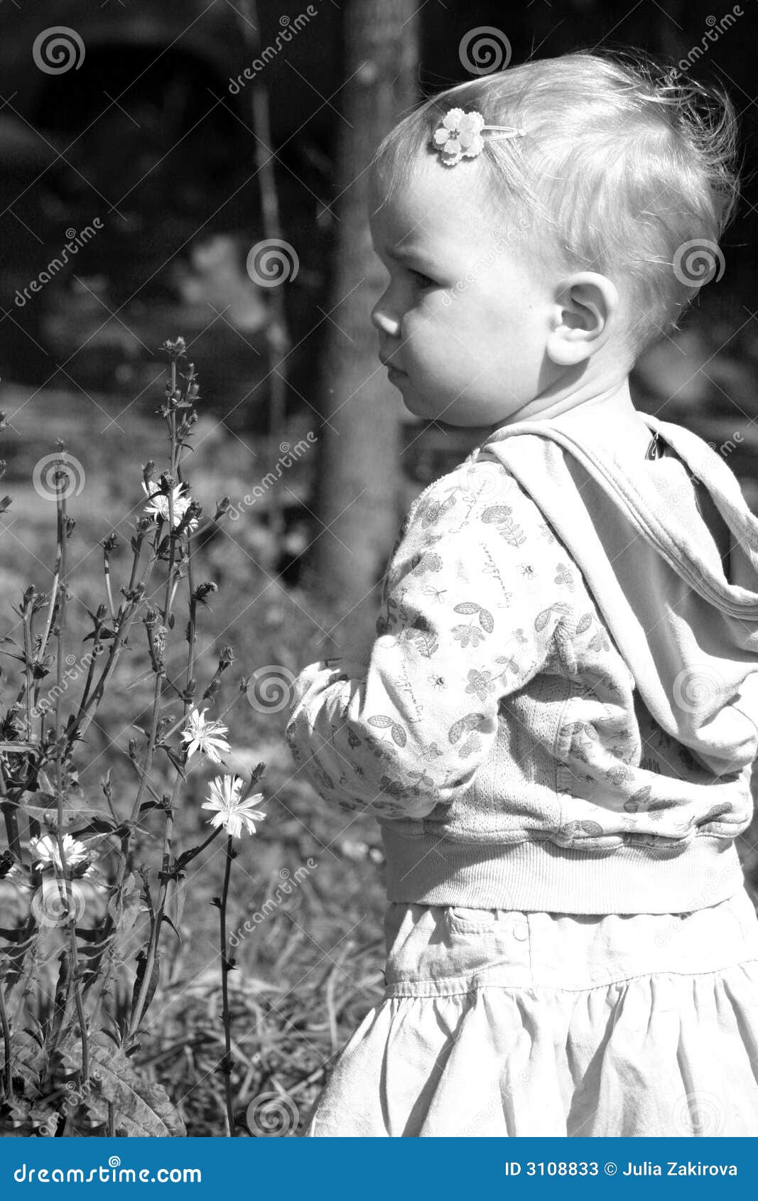 Girl and the flowers stock image. Image of family, ingenuousness 3108833