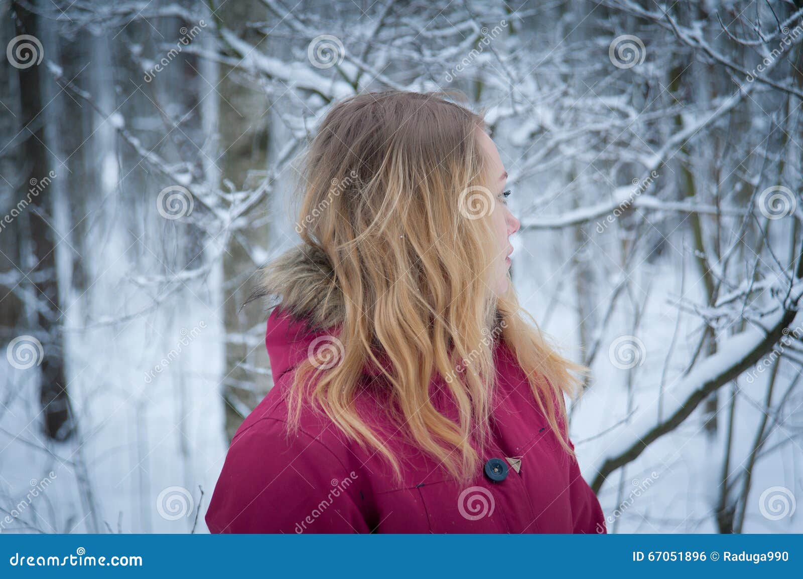 Girl in the forest stock photo. Image of teenage, snow - 67051896