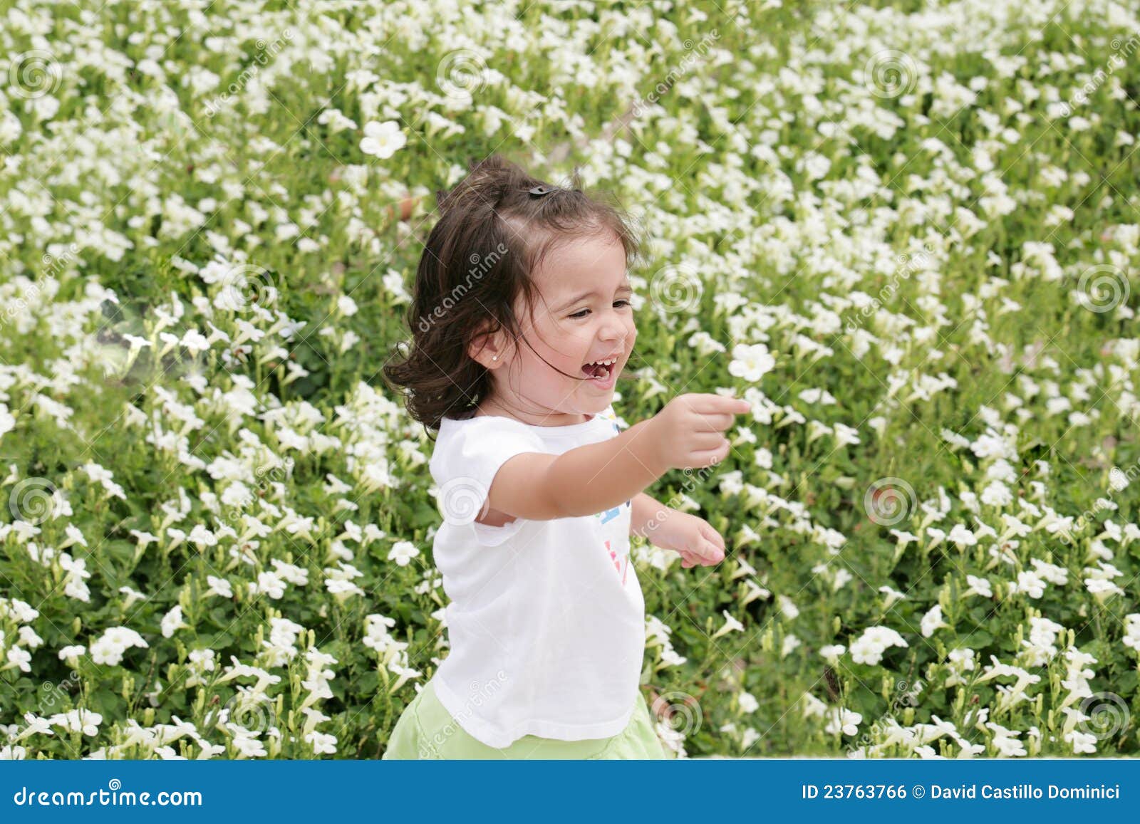 Girl in a Garden of Flowers Stock Photo Image of baby, natural 23763766