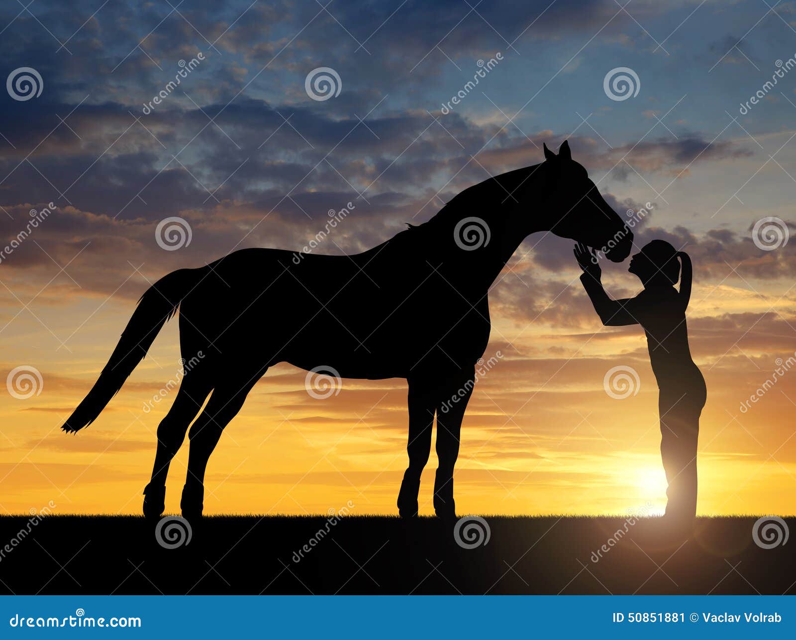 girl giving a kiss horse