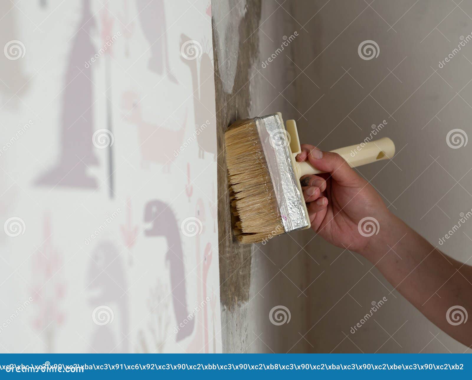 Wallpaper stock photo. Image of improvement, glues, interior - 222805762 Wallpaper stock photo. Image of improvement, glues, interior - 222805762