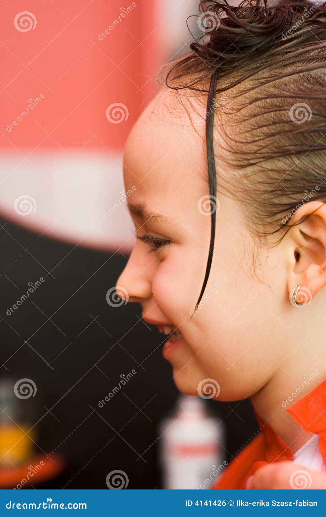 Girl at hair stylist stock photo. Image of professional - 4141426