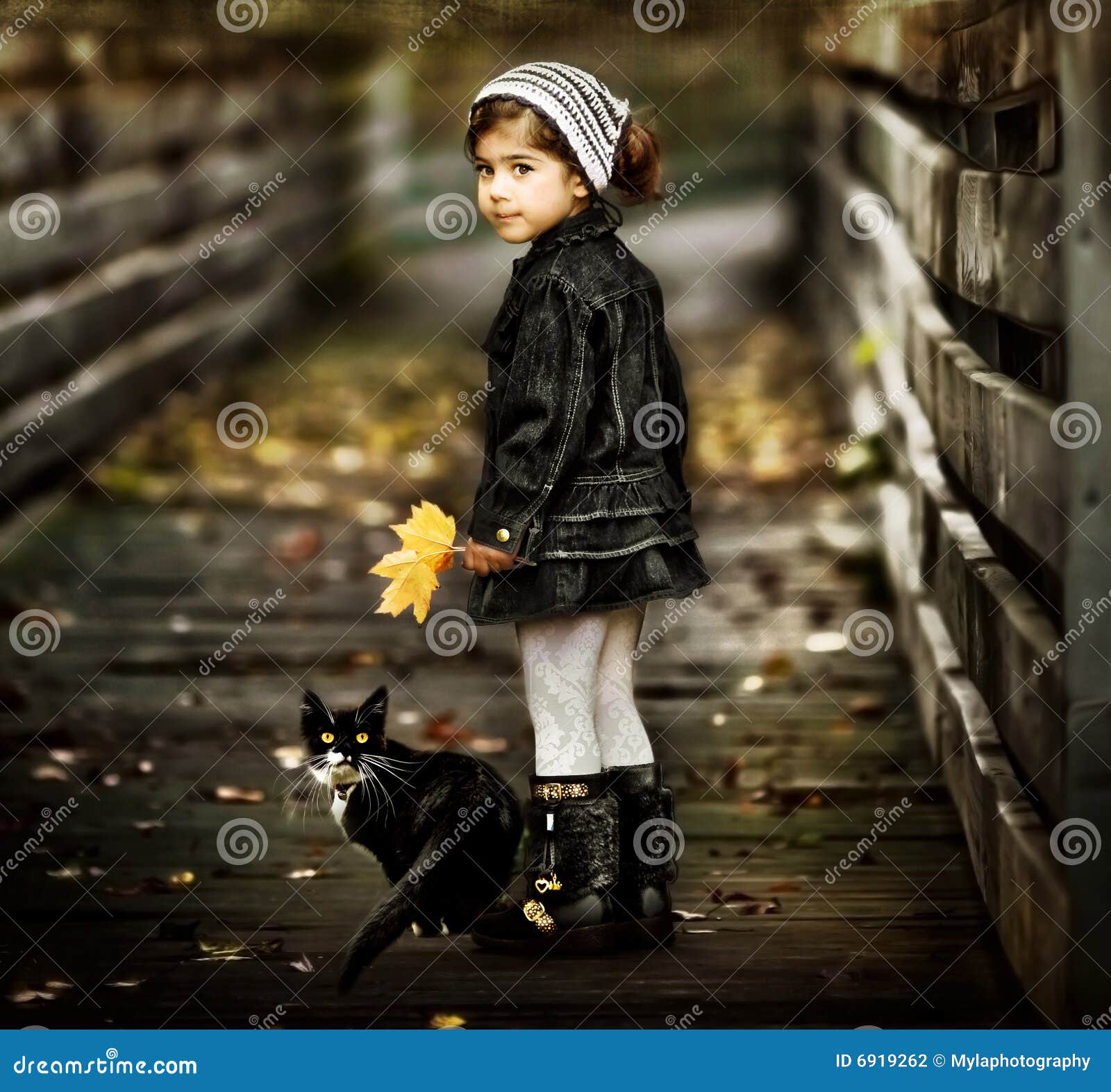 Girl and her cat stock photo. Image of human, beautiful 6919262