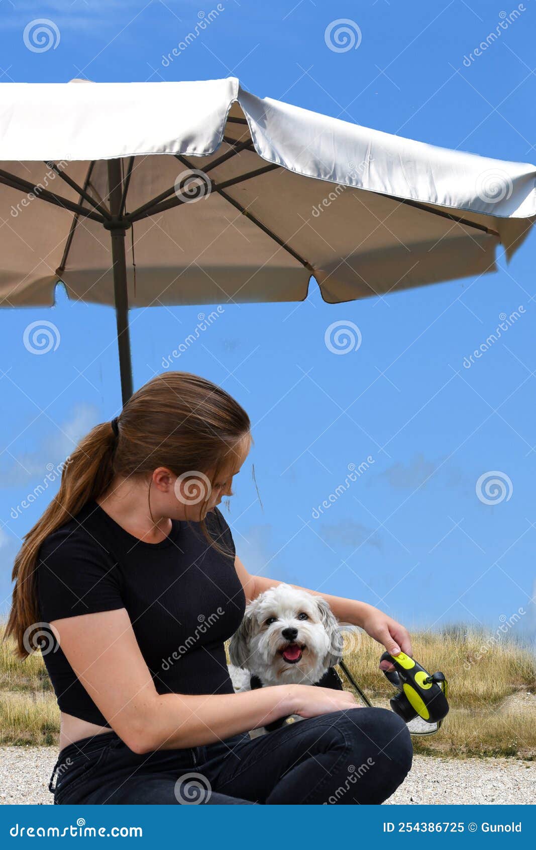 Havanese Umbrella - Blue Havanese Umbrella - Blue