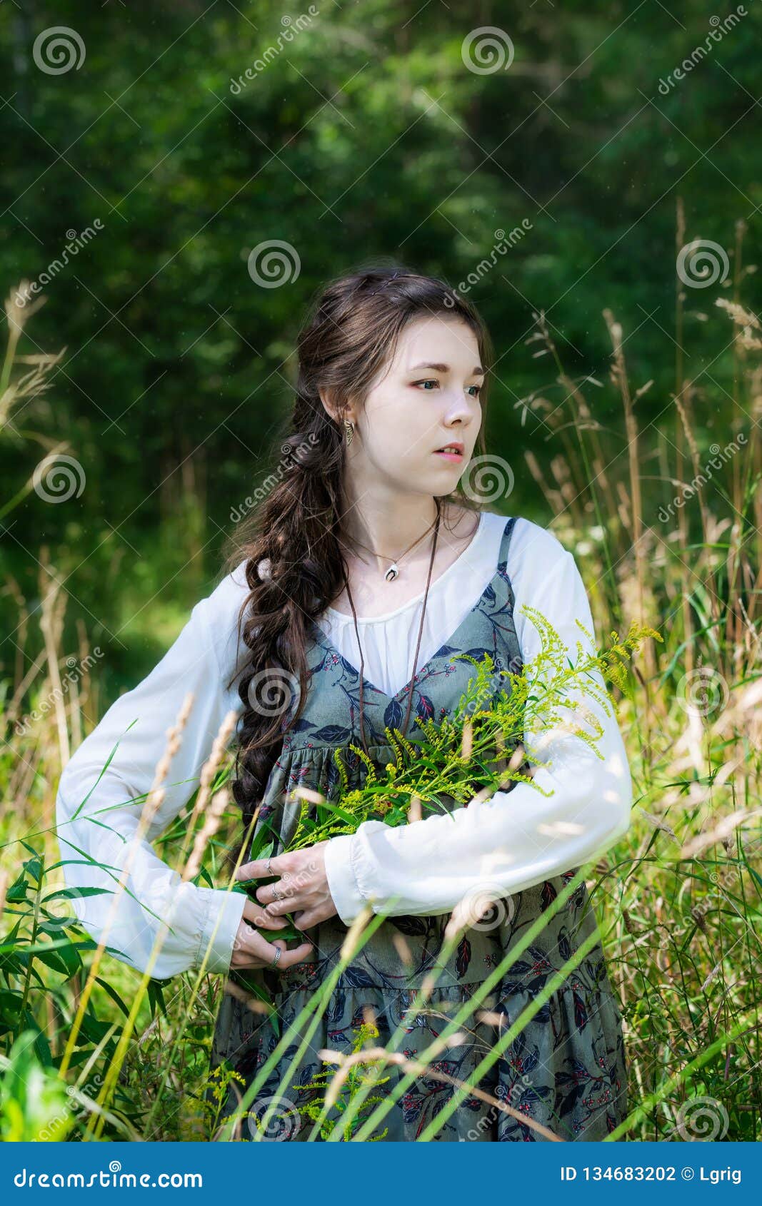 Girl Herbalist Collects Medicinal Herbs Stock Photo - Image of country ...