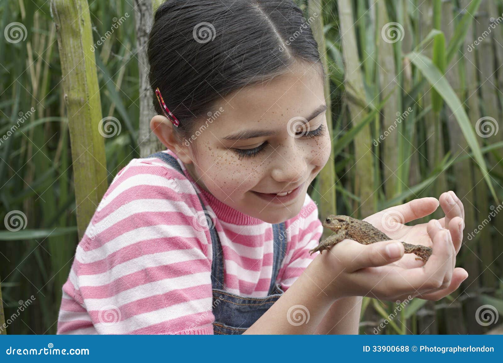 Girl Holding Frog stock photo. Image of horizontal, children 33900688