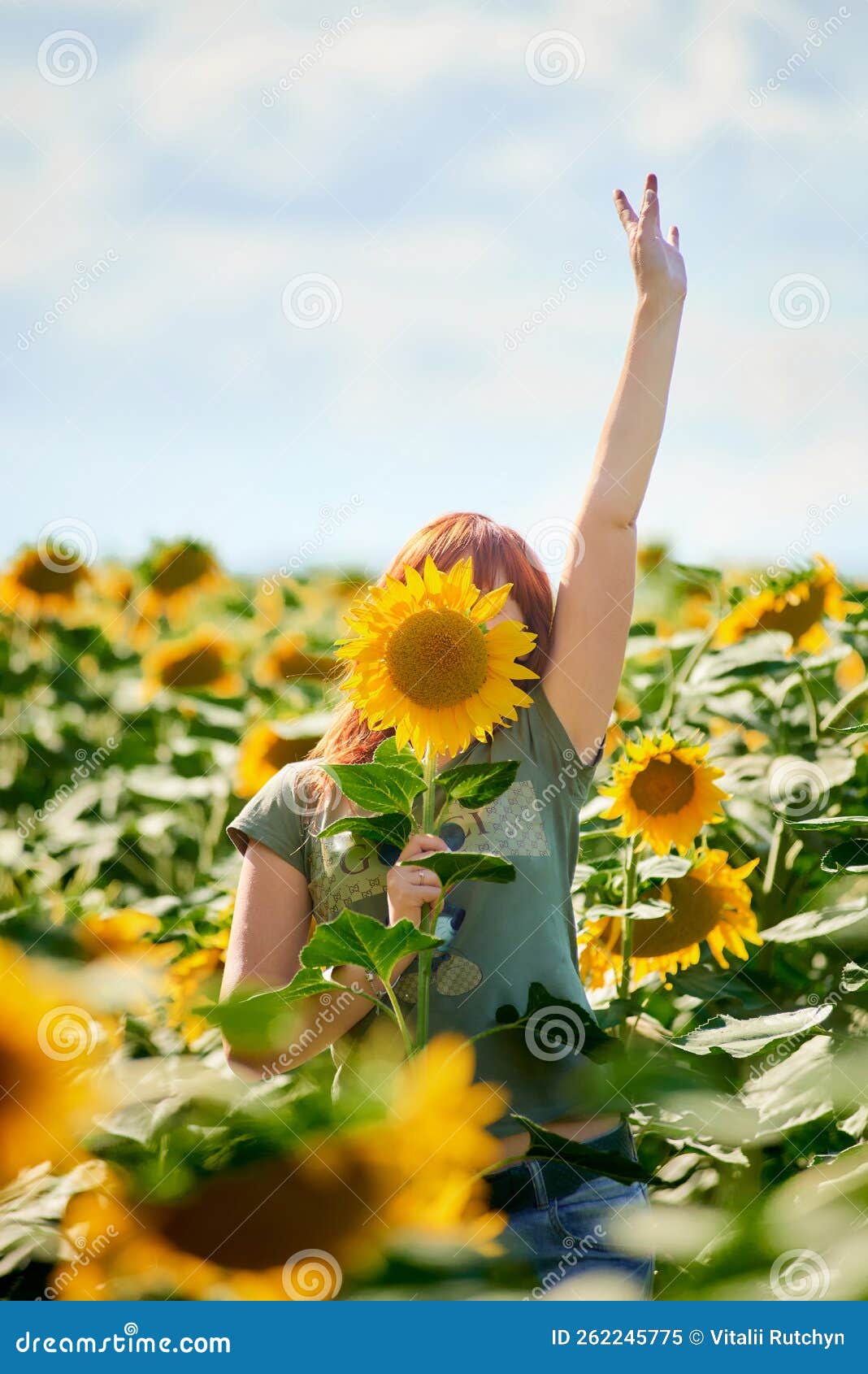 Girl Holding Hat in Sunflowers Stock Image Image of hair, beautiful