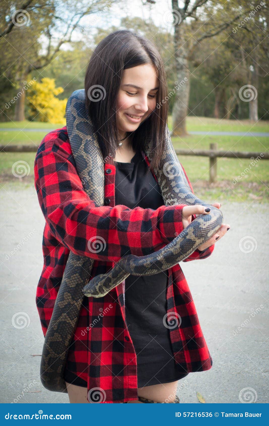Python Web Scraping Prices Python Web Scraping Prices