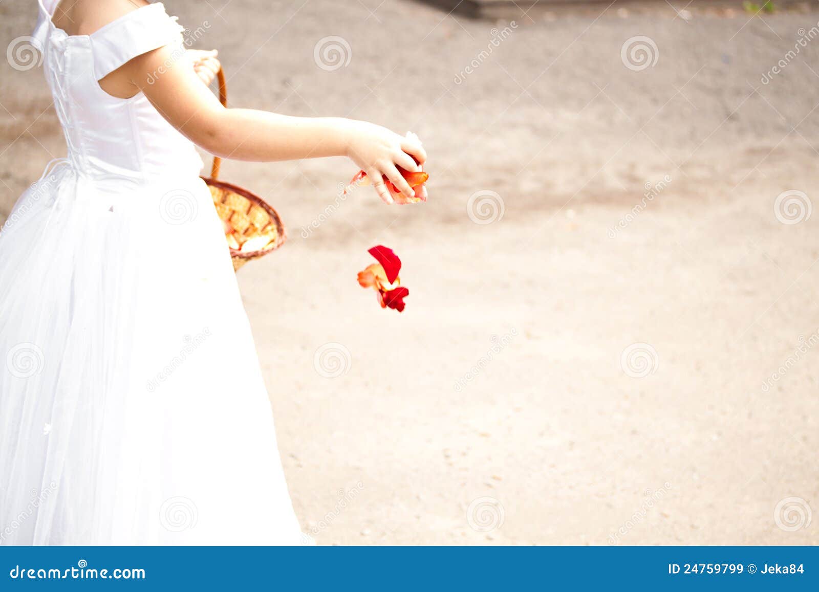 Girl holding rose petals stock image. Image of horizontal 24759799