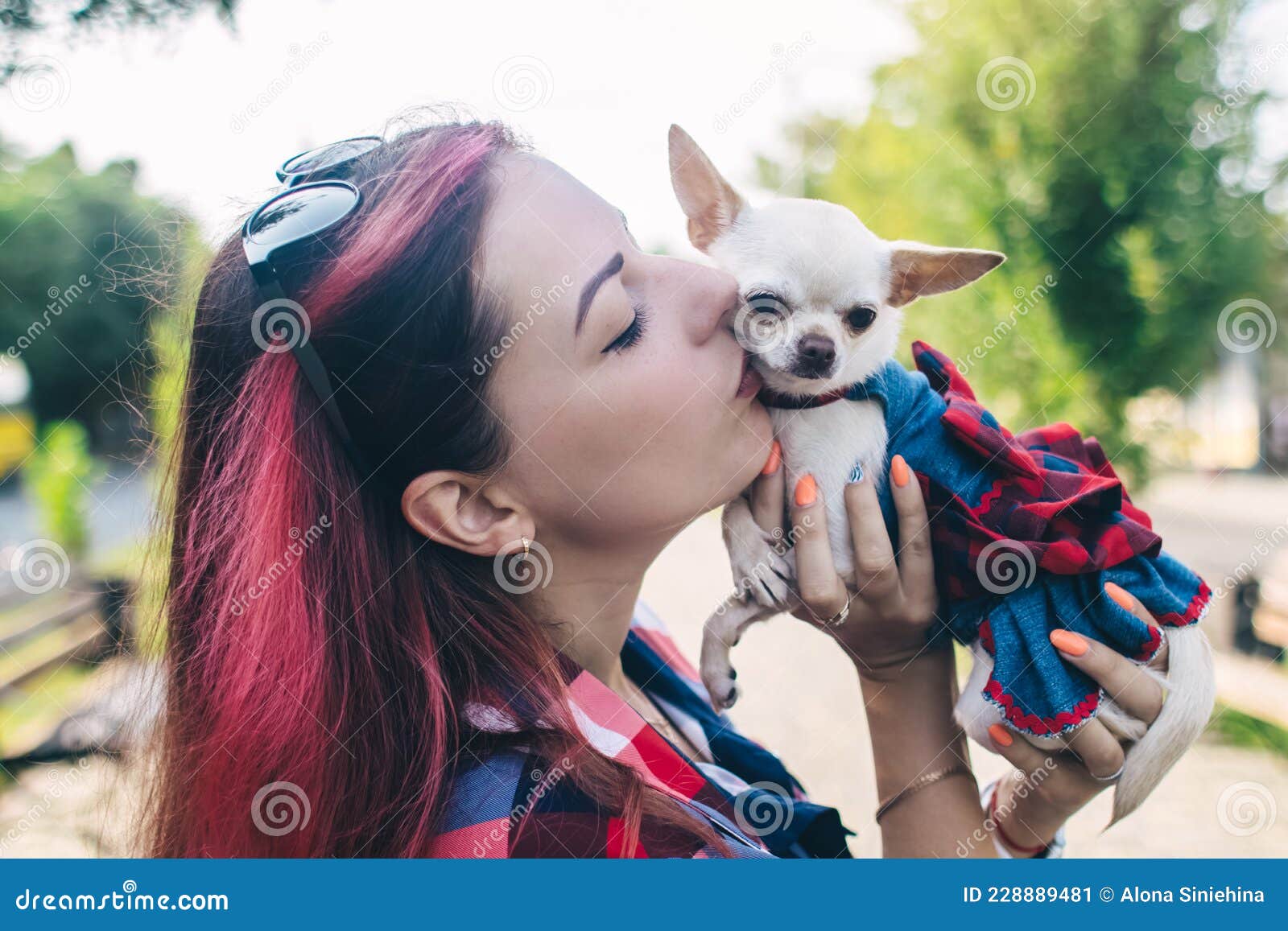 Animals Free Kissing Stock Photos - Free & Royalty-Free Stock Photos from  Dreamstime