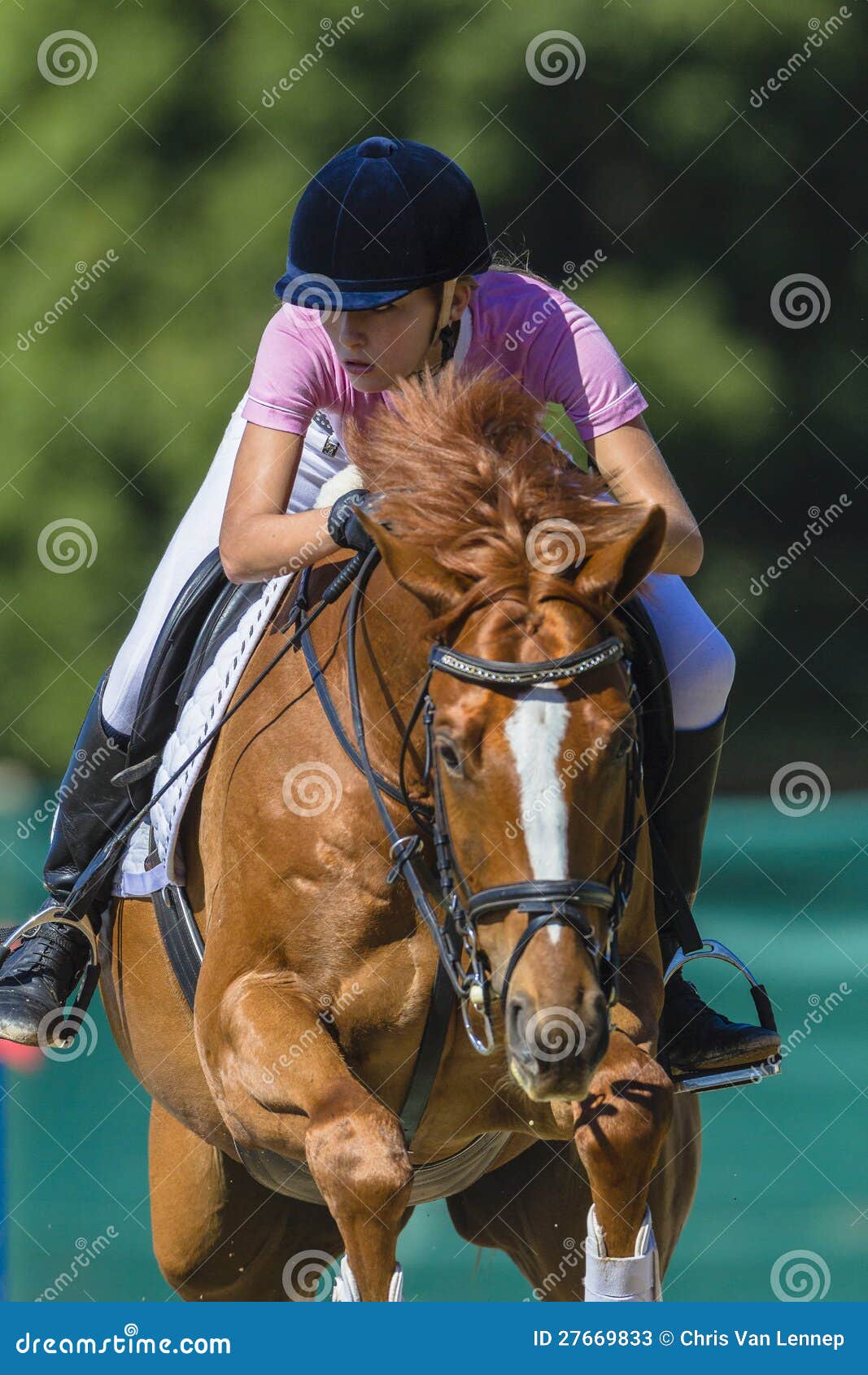 Full Length Shot Young Female Rider Jumping Hurdle Her Horse fotos, imagens  de © PeopleImages.com #585006420