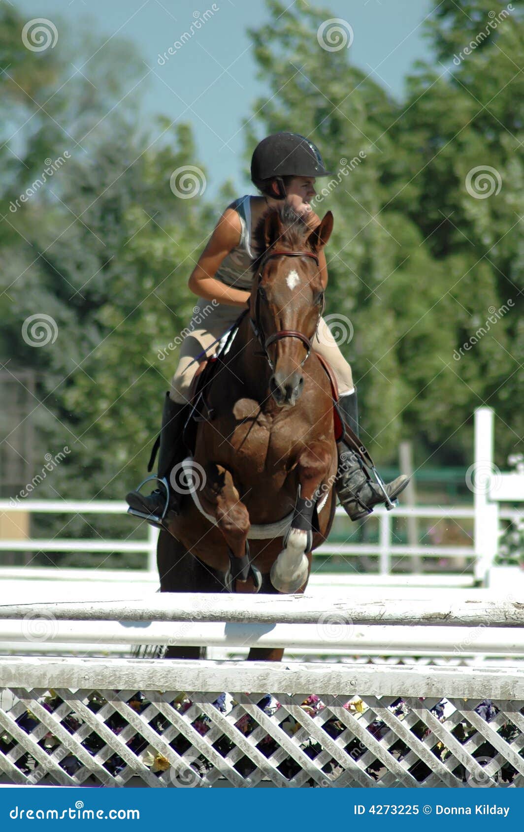 Full Length Shot Young Female Rider Jumping Hurdle Her Horse fotos, imagens  de © PeopleImages.com #585006420