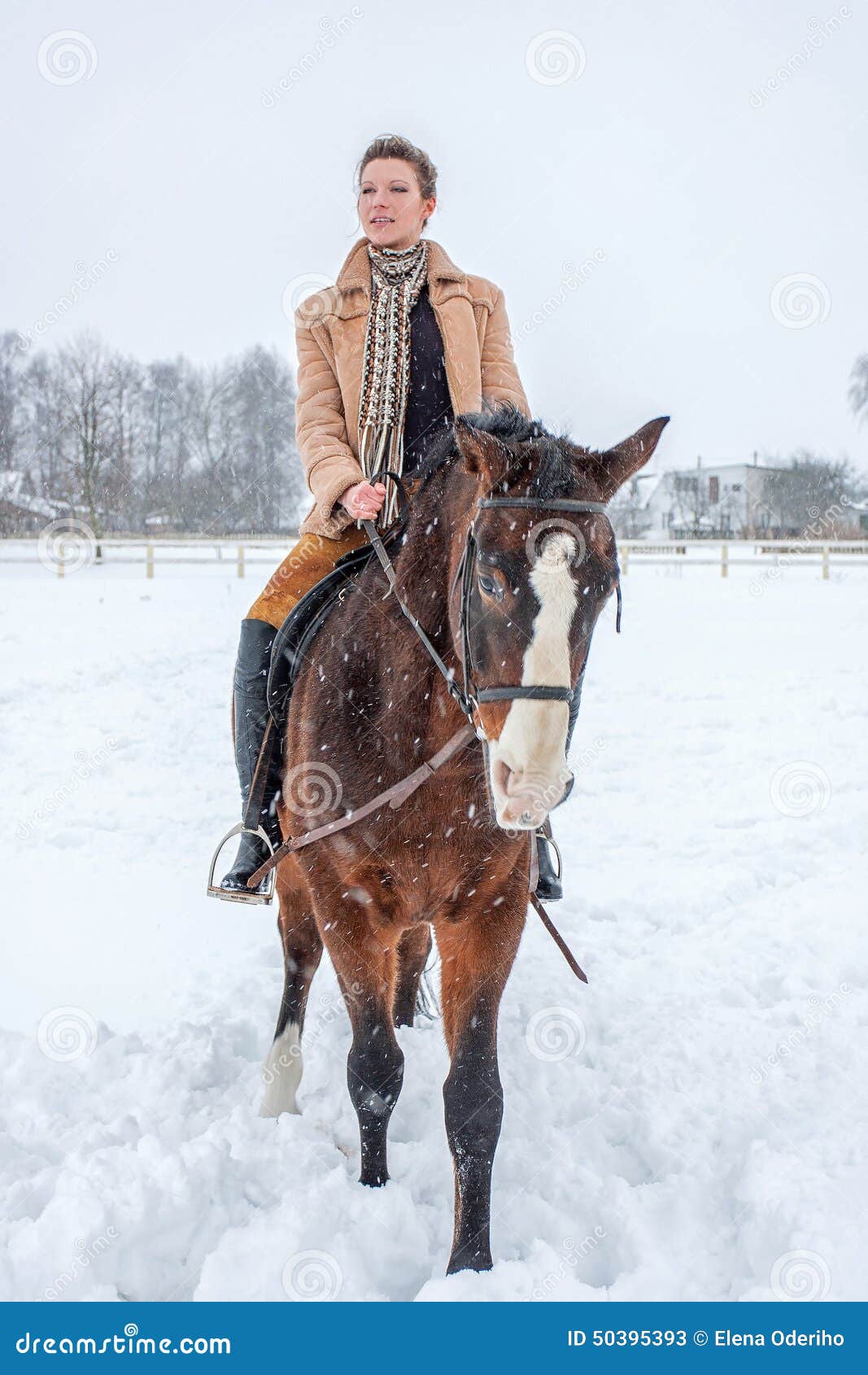 Girl on Horseback in the Winter on Snow Stock Image Image of hair