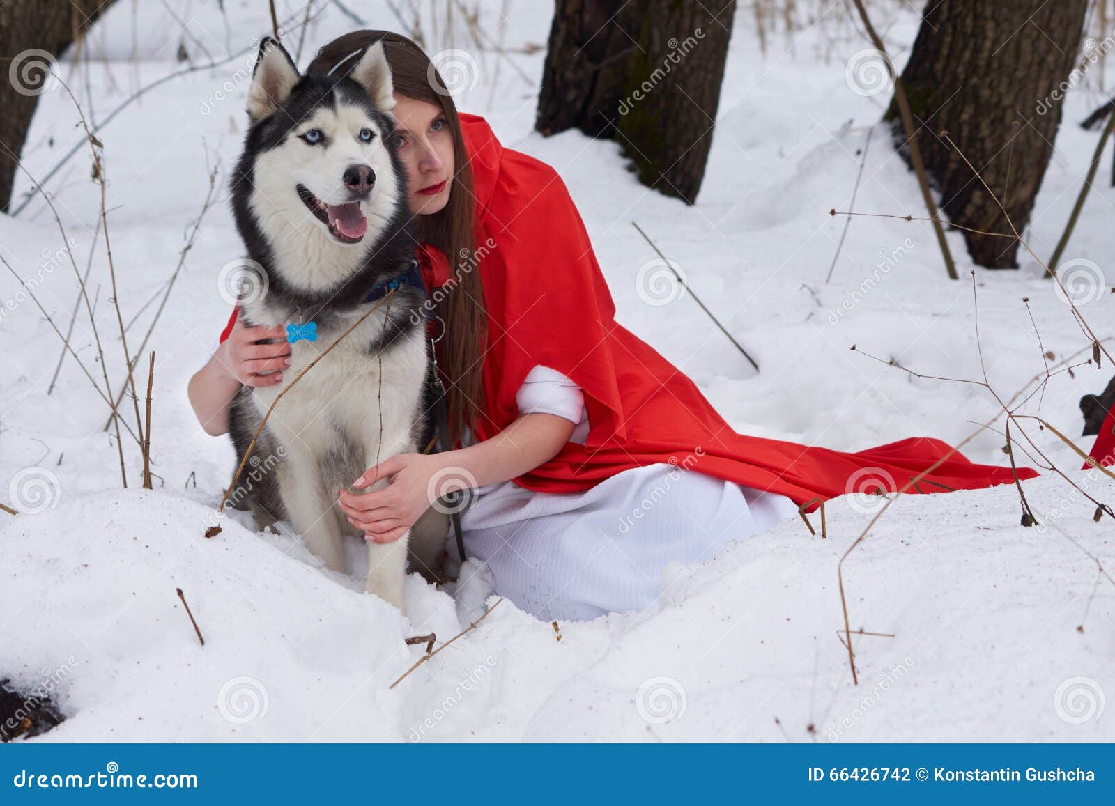 Girl with Husky stock photo. Image of animal, outdoors 66426742