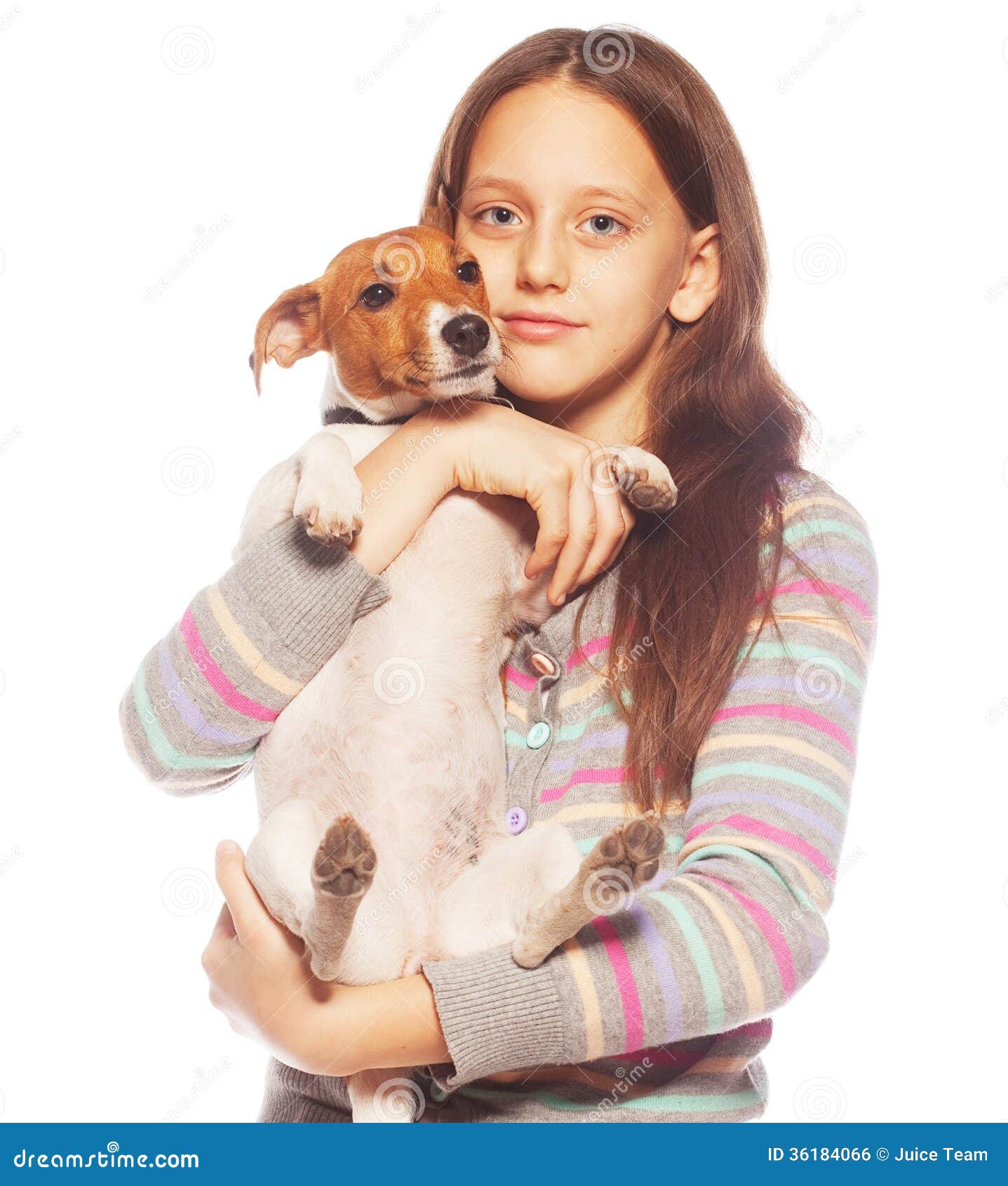 Girl with Jack Russell Terrier Stock Photo Image of jack, smiling