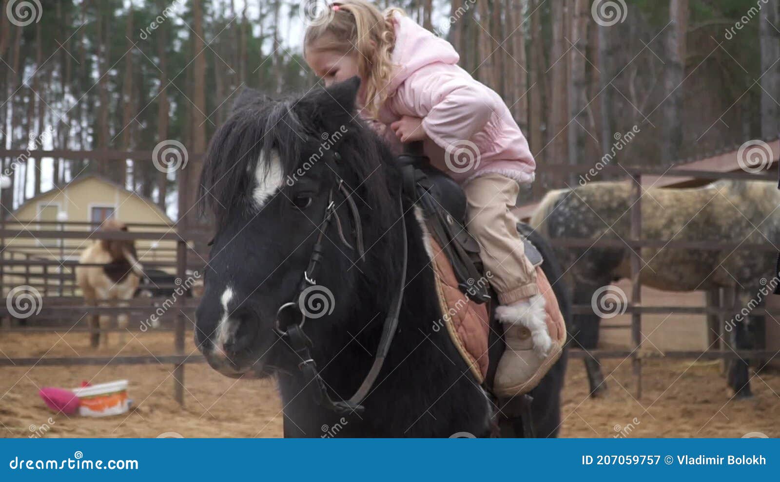 Pony Girls Training