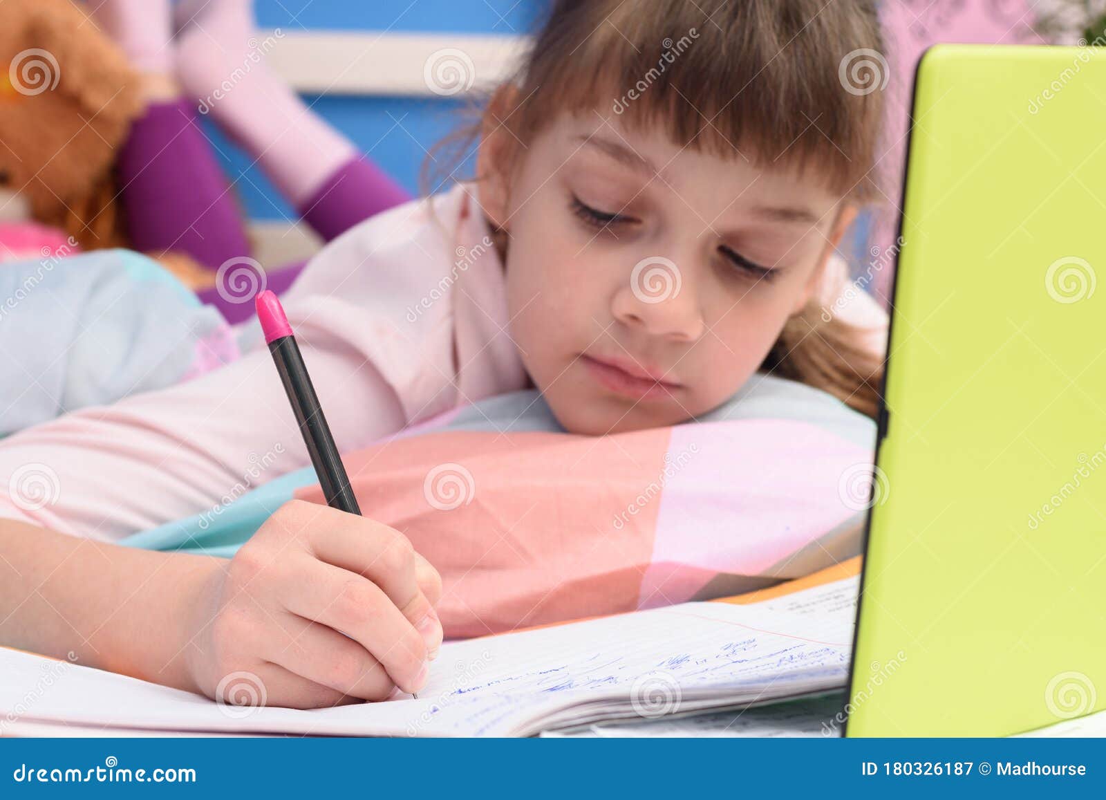 Homework and Coursework Help - TOP Services Online!