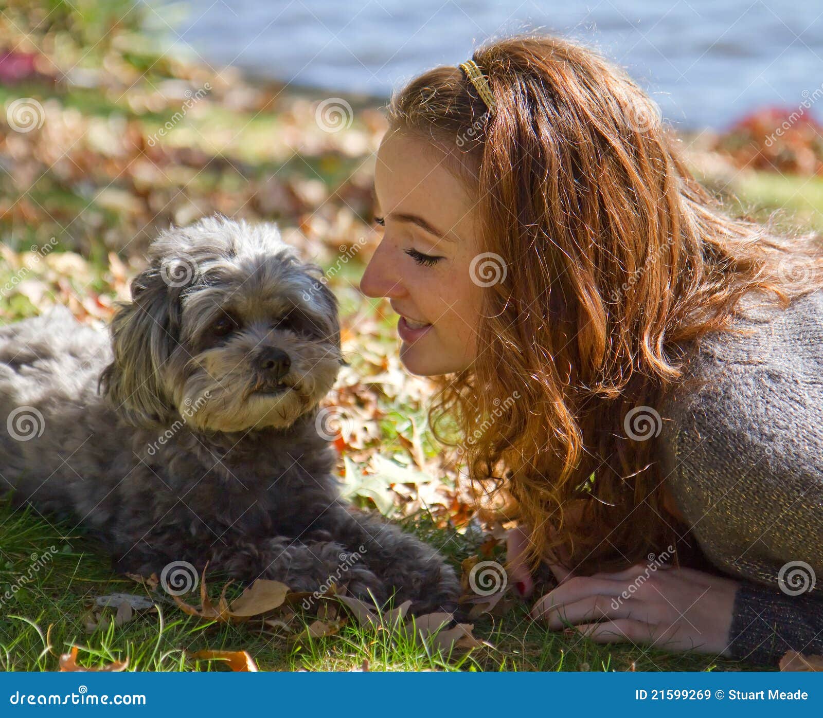 girl loves shih-poo dog