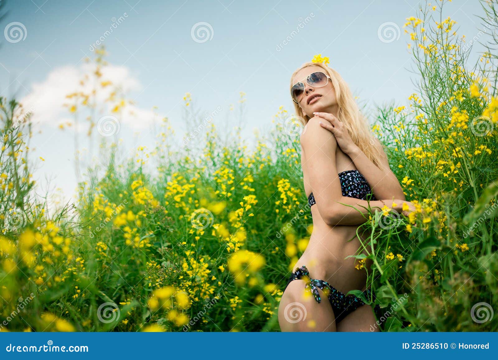 Girl on meadow stock photo. Image of beautiful, blond 25286510