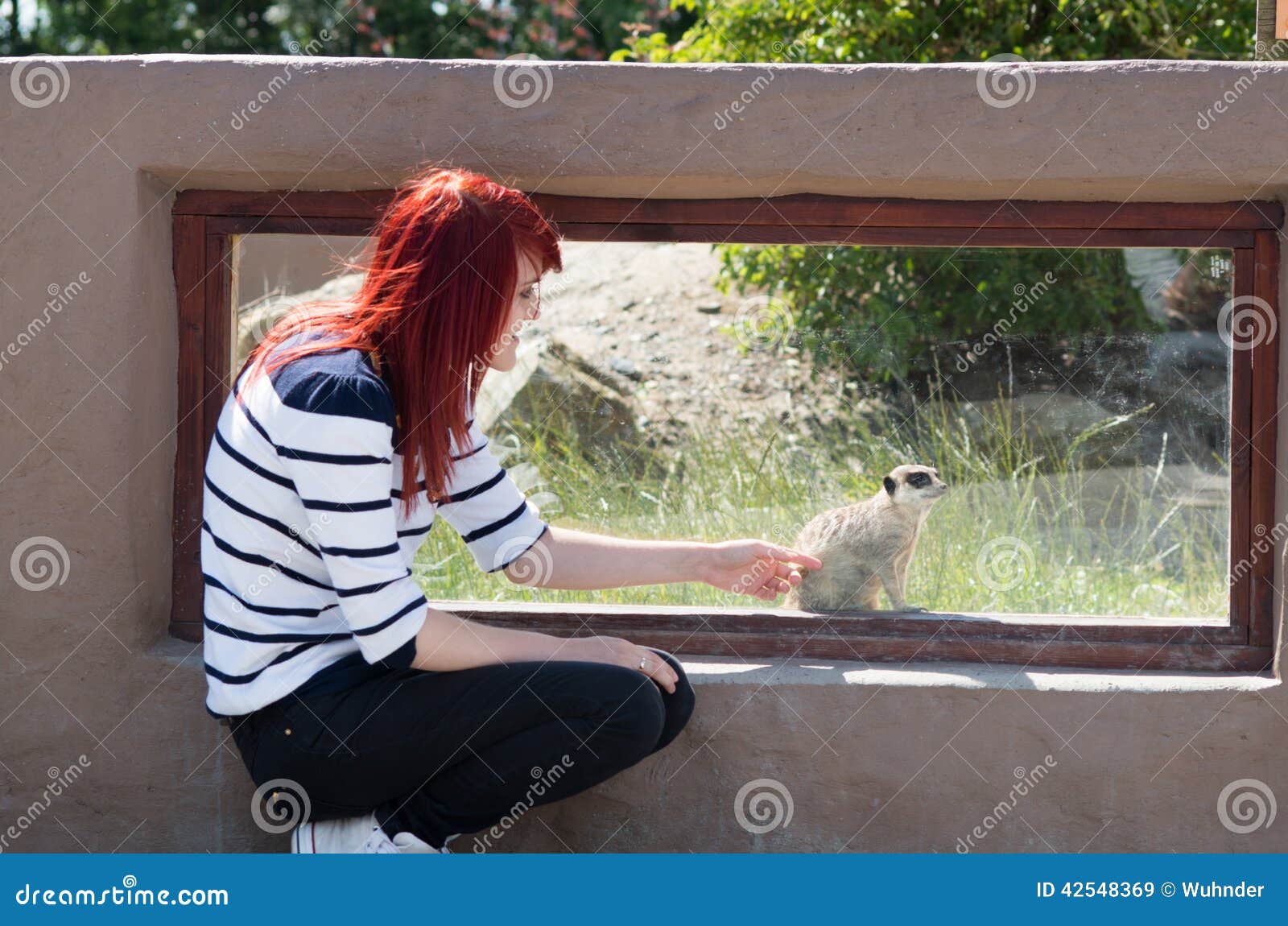 Girl and meerkats stock image. Image of curly, haired - 42548369