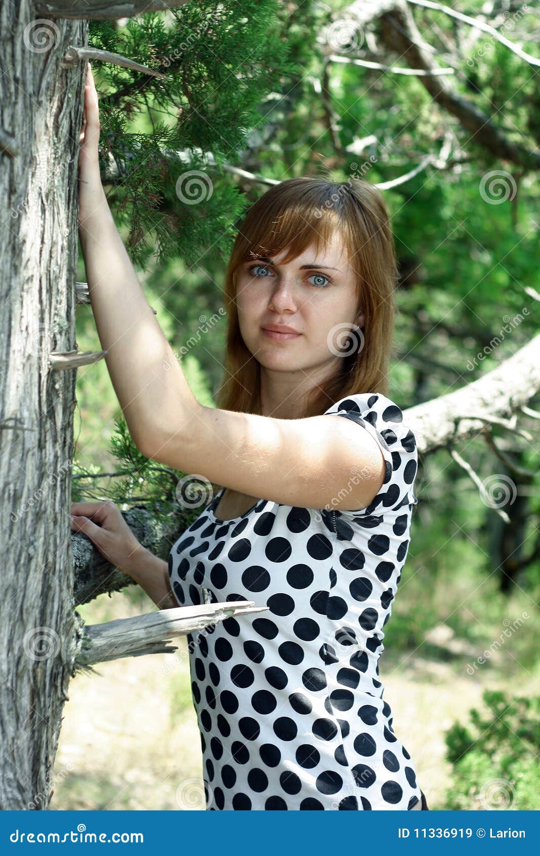Girl near the tree stock image. Image of discovery, leisure - 11336919