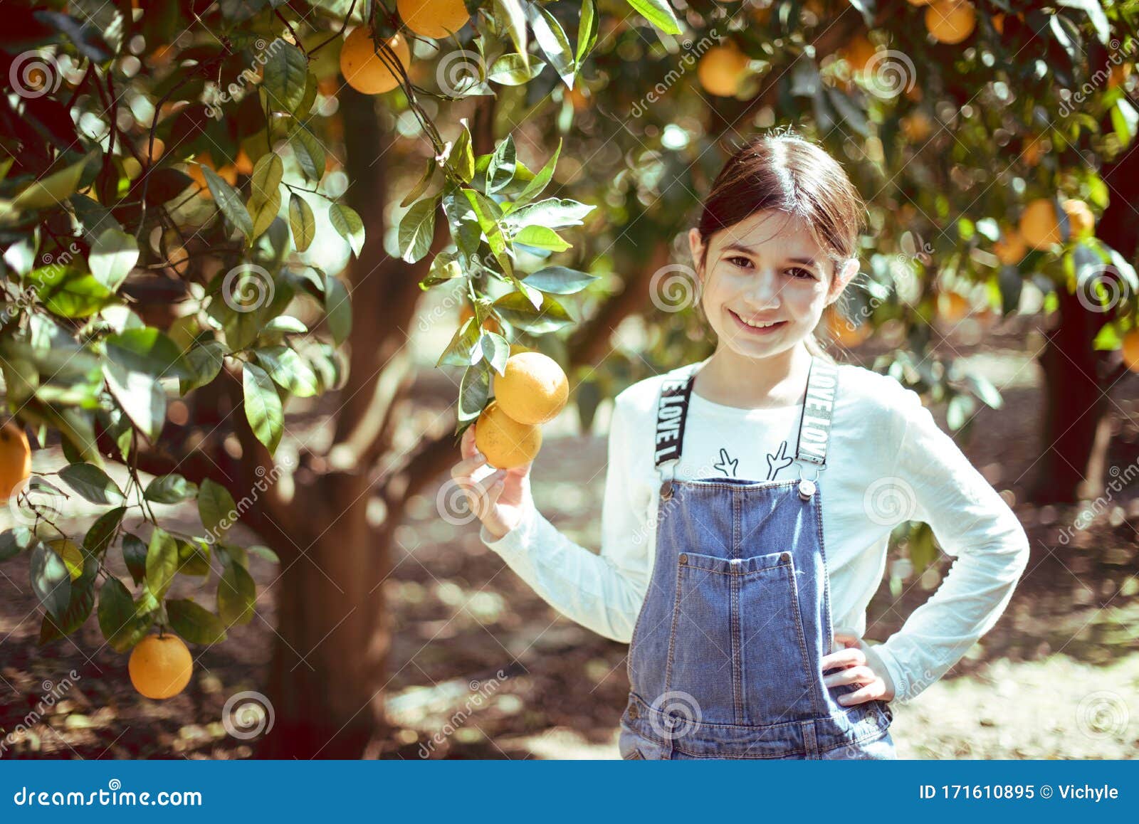 Girl and Oranges, Girl Picks Oranges, Fruit Orange Grove, Organic Farm ...