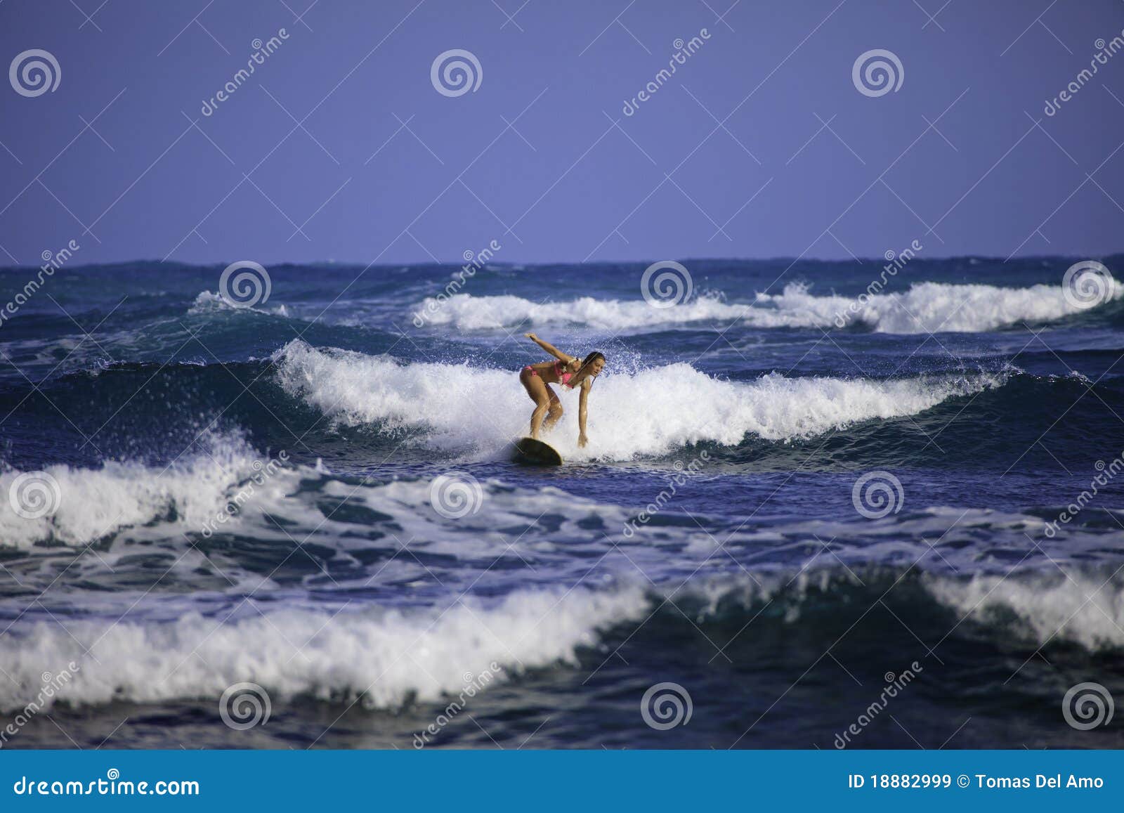 Girl in Pink Bikini Surfing Stock Image Image of teen, alone 18882999