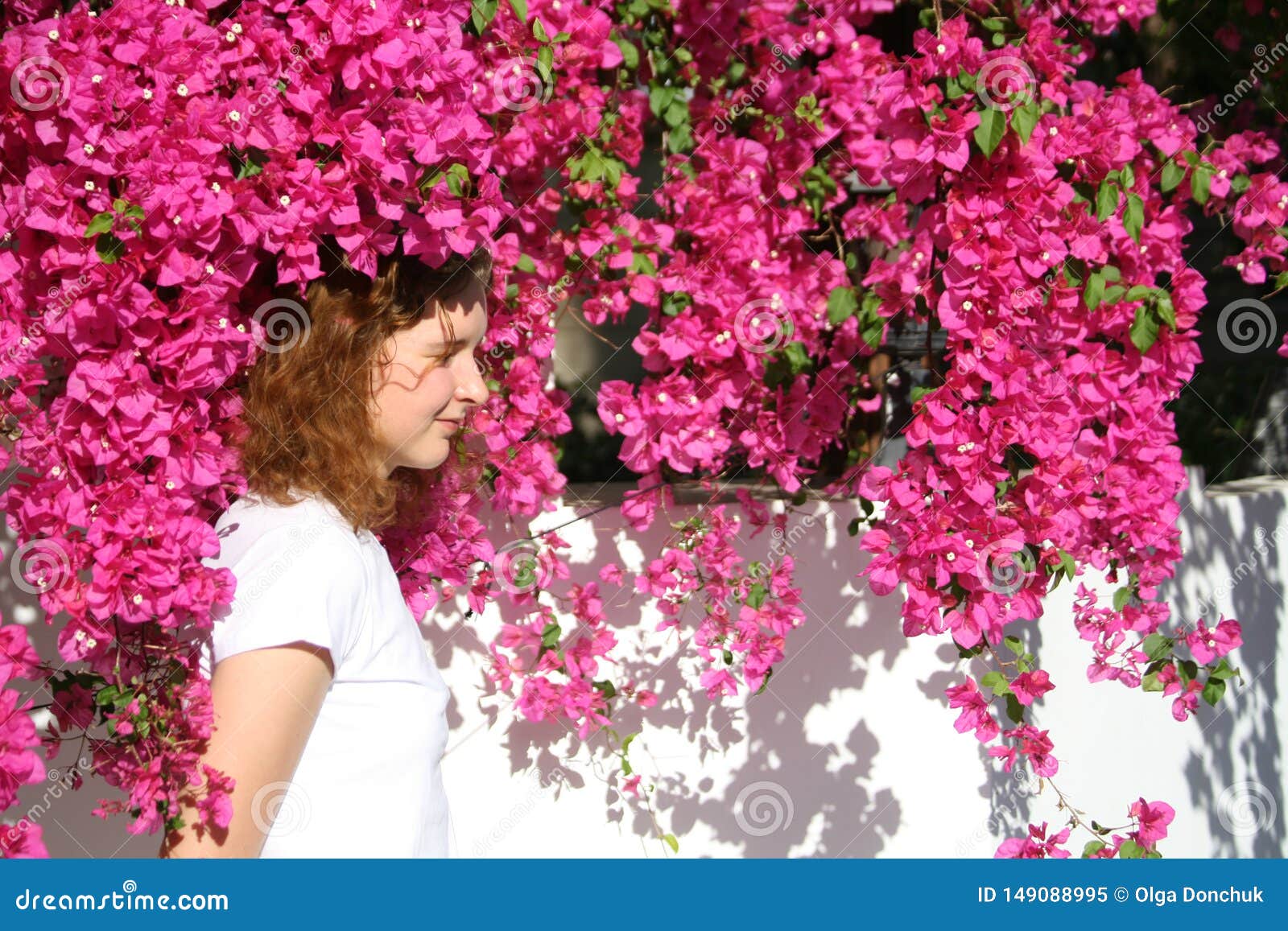 Download Girl Among Pink Flowers In Sunlight Stock Image - Image of ...