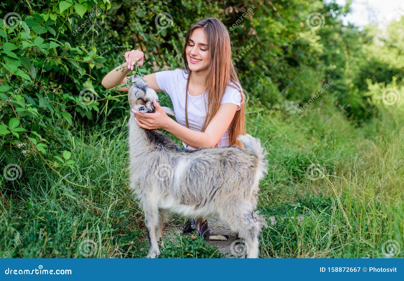 Girl Play Cute Goat. Veterinarian Occupation. Eco Farm. Love and Care. Feeding  Animal. Animals Law Stock Image - Image of protecting, play: 158872667