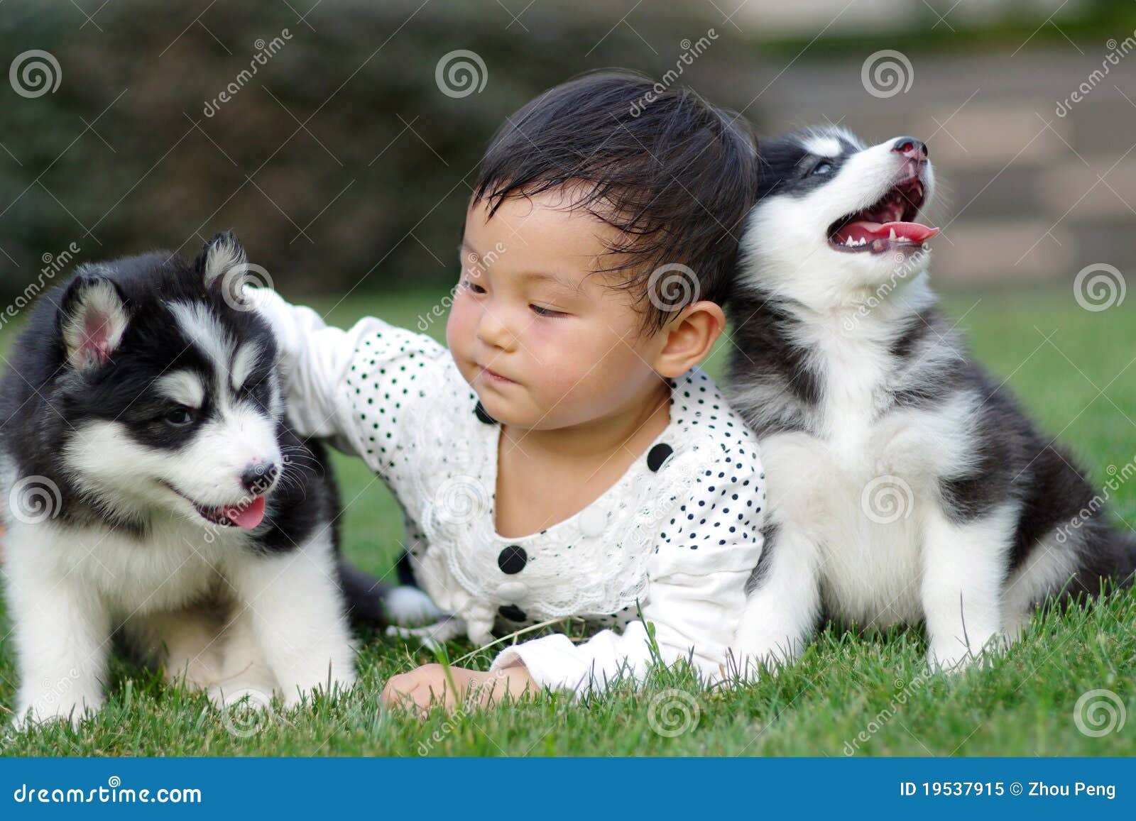 girl play with puppy