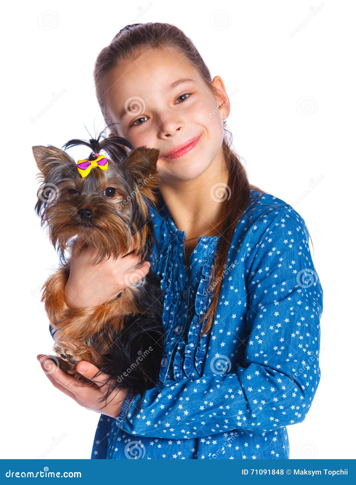 Girl Playing With Her Yorkshire Terrier Stoc