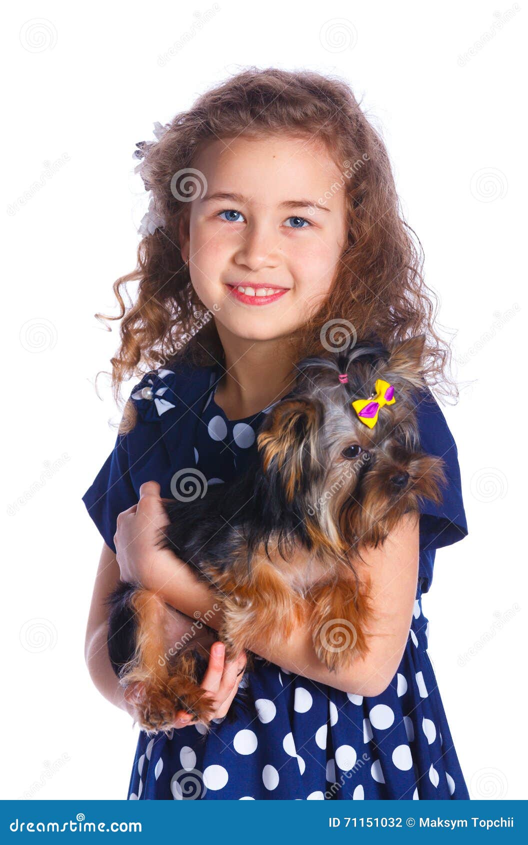 Girl Playing with Her Yorkshire Terrier Stock Photo - Image of hold ...