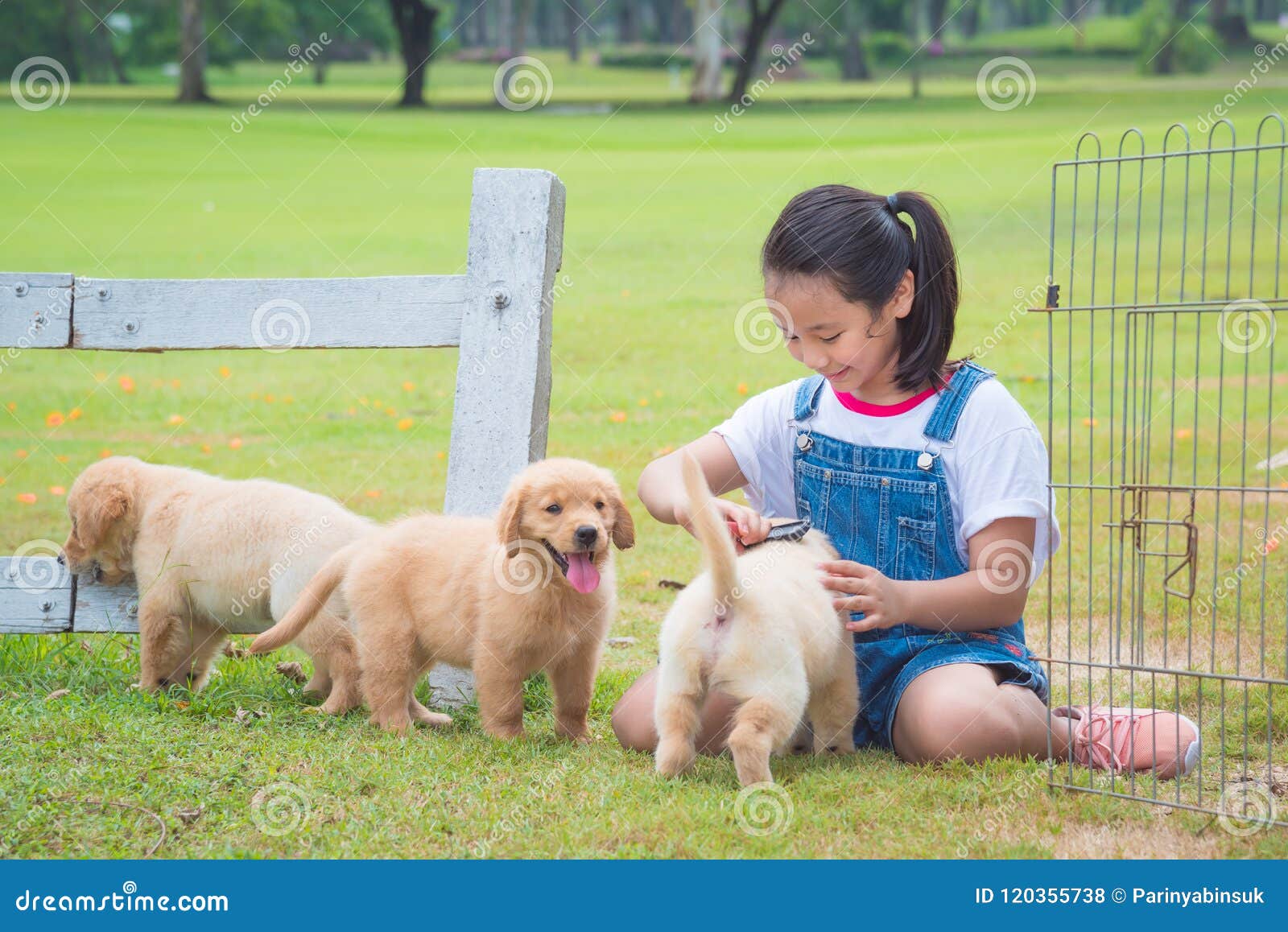 girl playing with little golden retriever dog in par