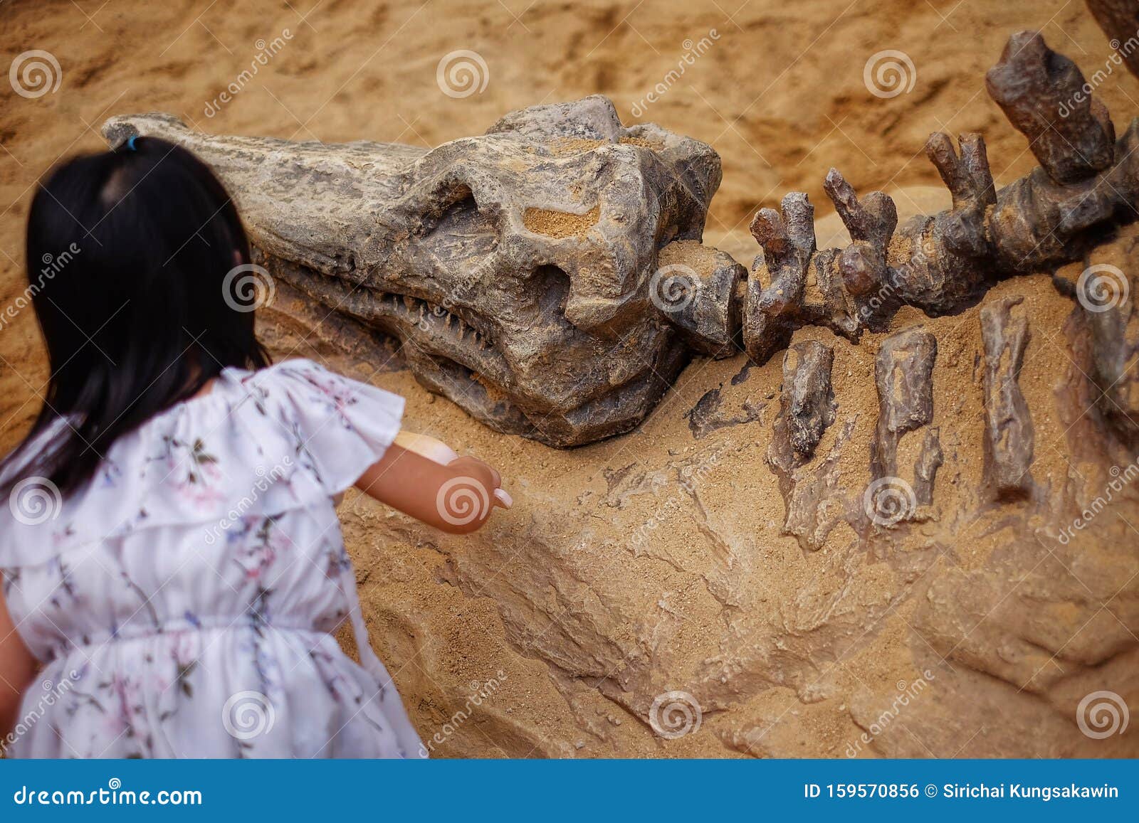 The Fossil Girl 