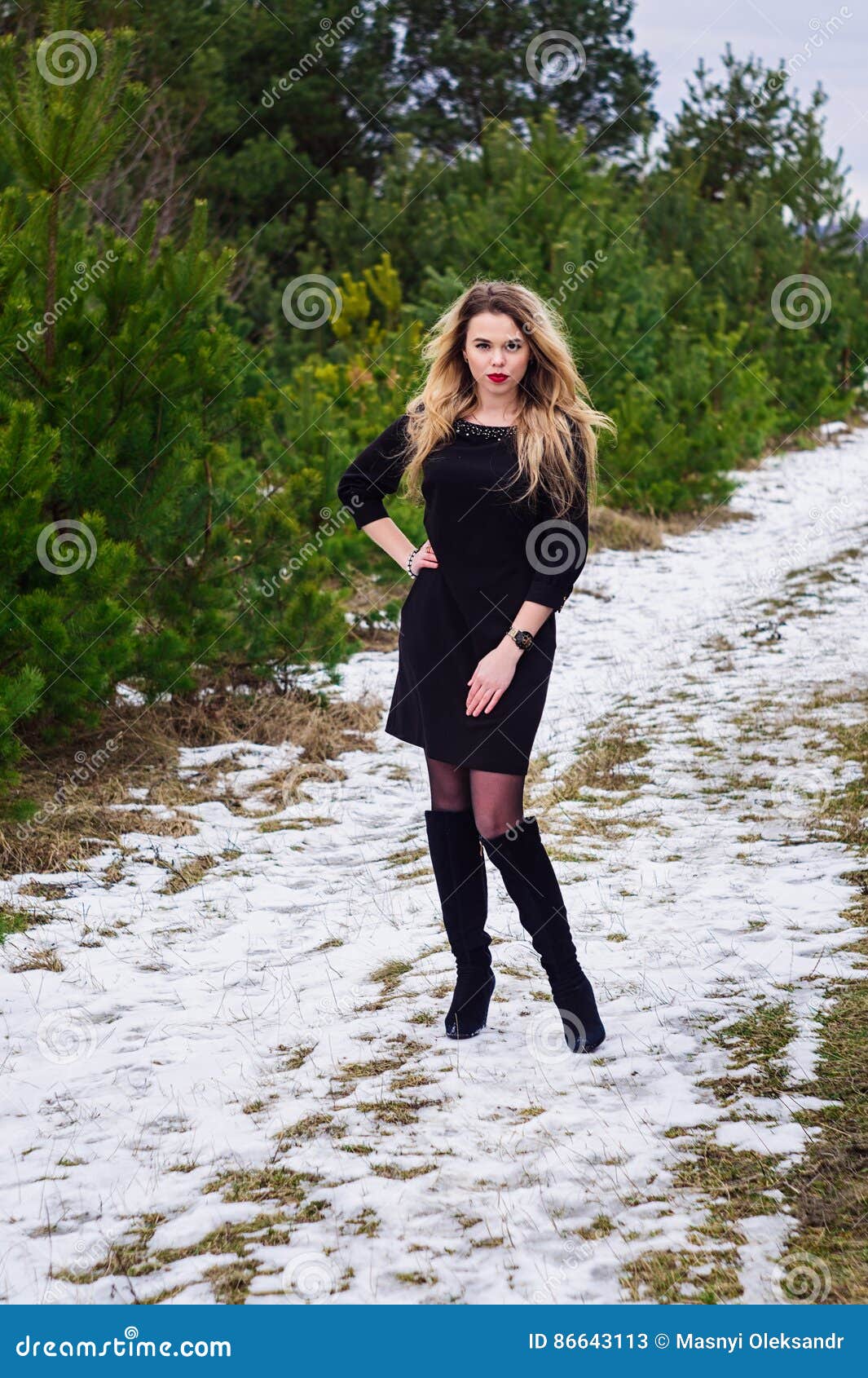 Girl posing in pines stock image. Image of beauty, frosty - 86643113