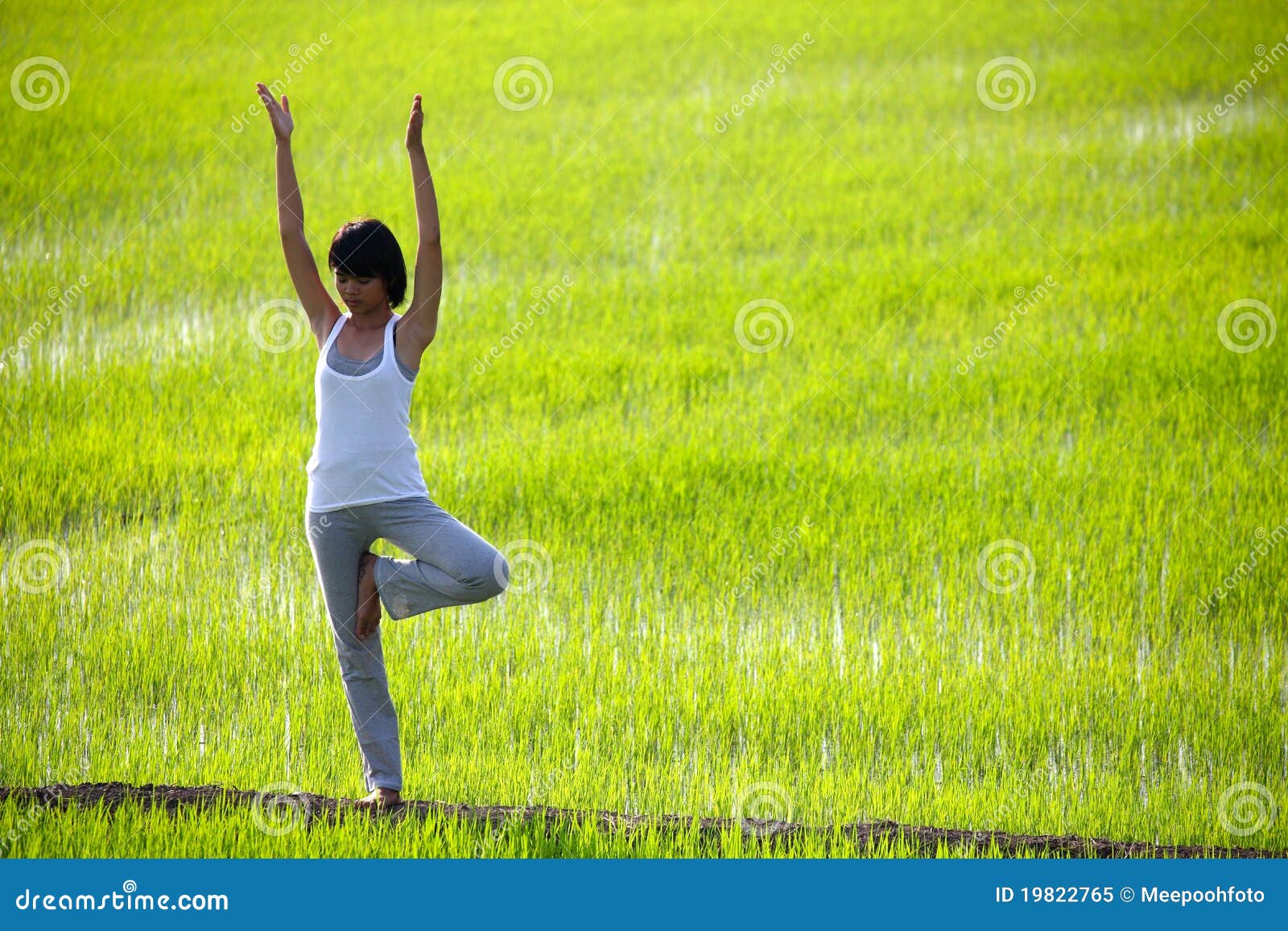 Girl Practicing Yoga,standing in Paddy Field Stock Image Image of