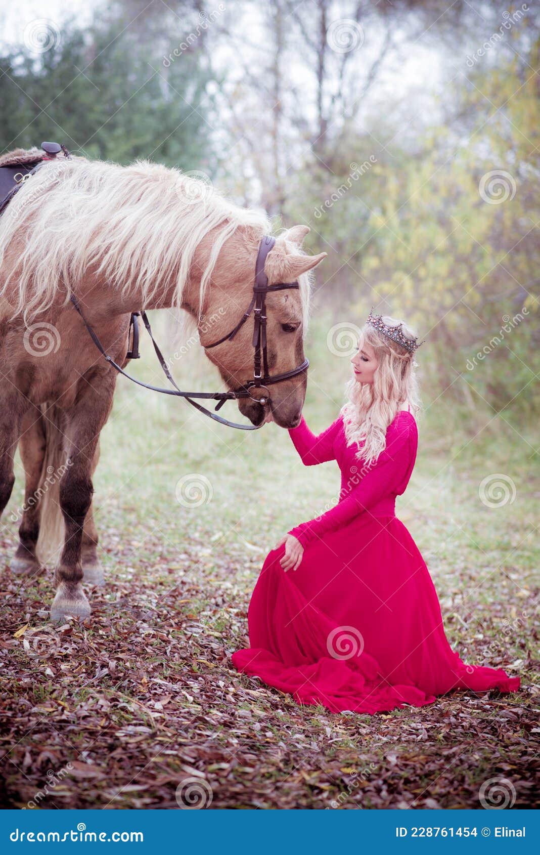 Girl, Princess Sitting with Horse, Fantasy. Fairy Tale Stock Photo ...