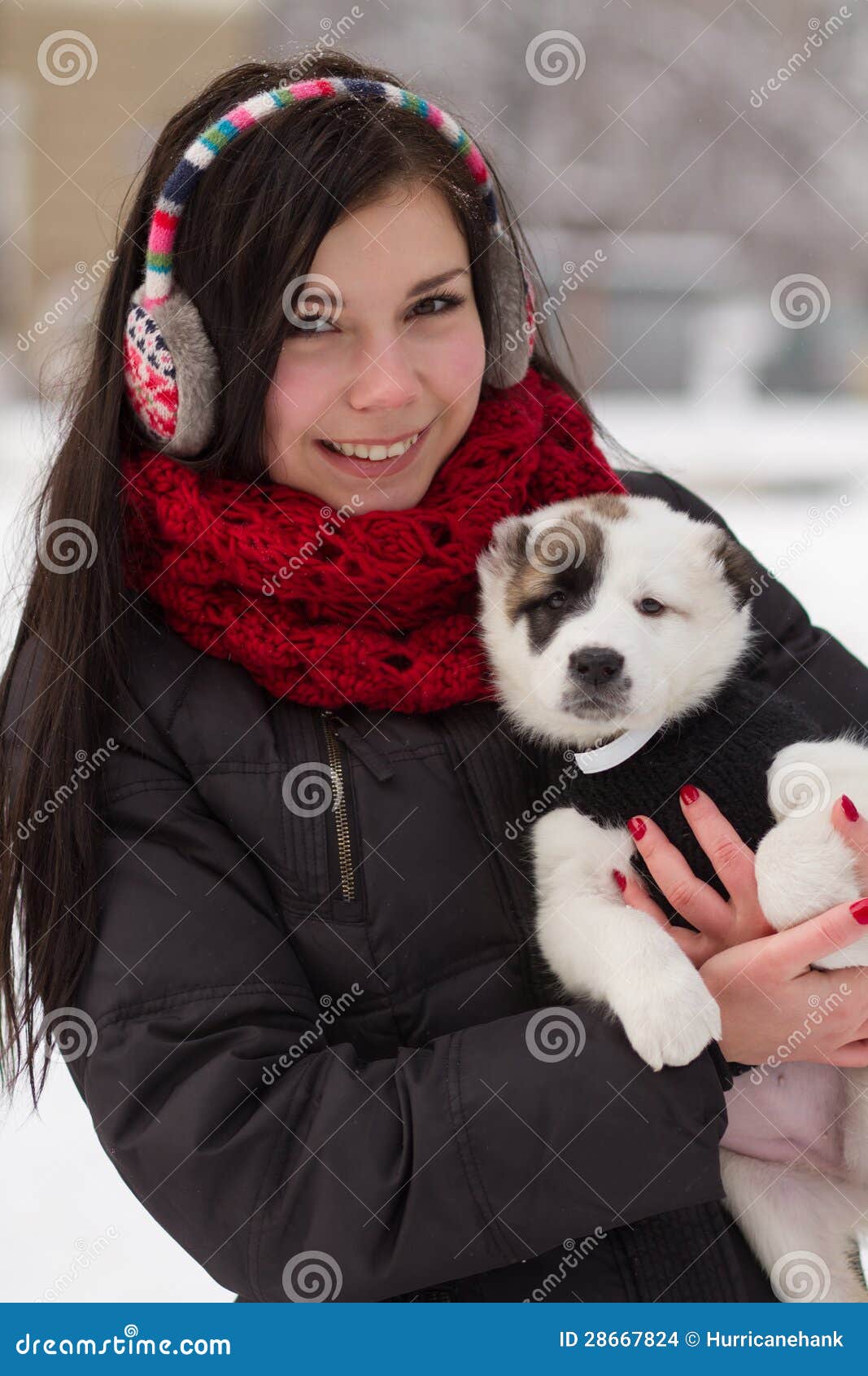 Girl with a Puppy in Winter Stock Photo Image of beauty, domestic