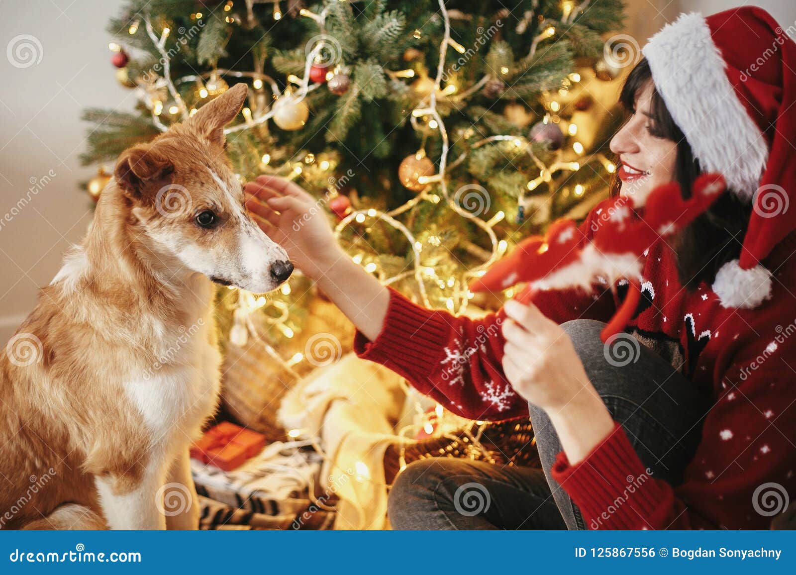 Girl Putting on Cute Dog Reindeer Antlers on Background of Golden ...