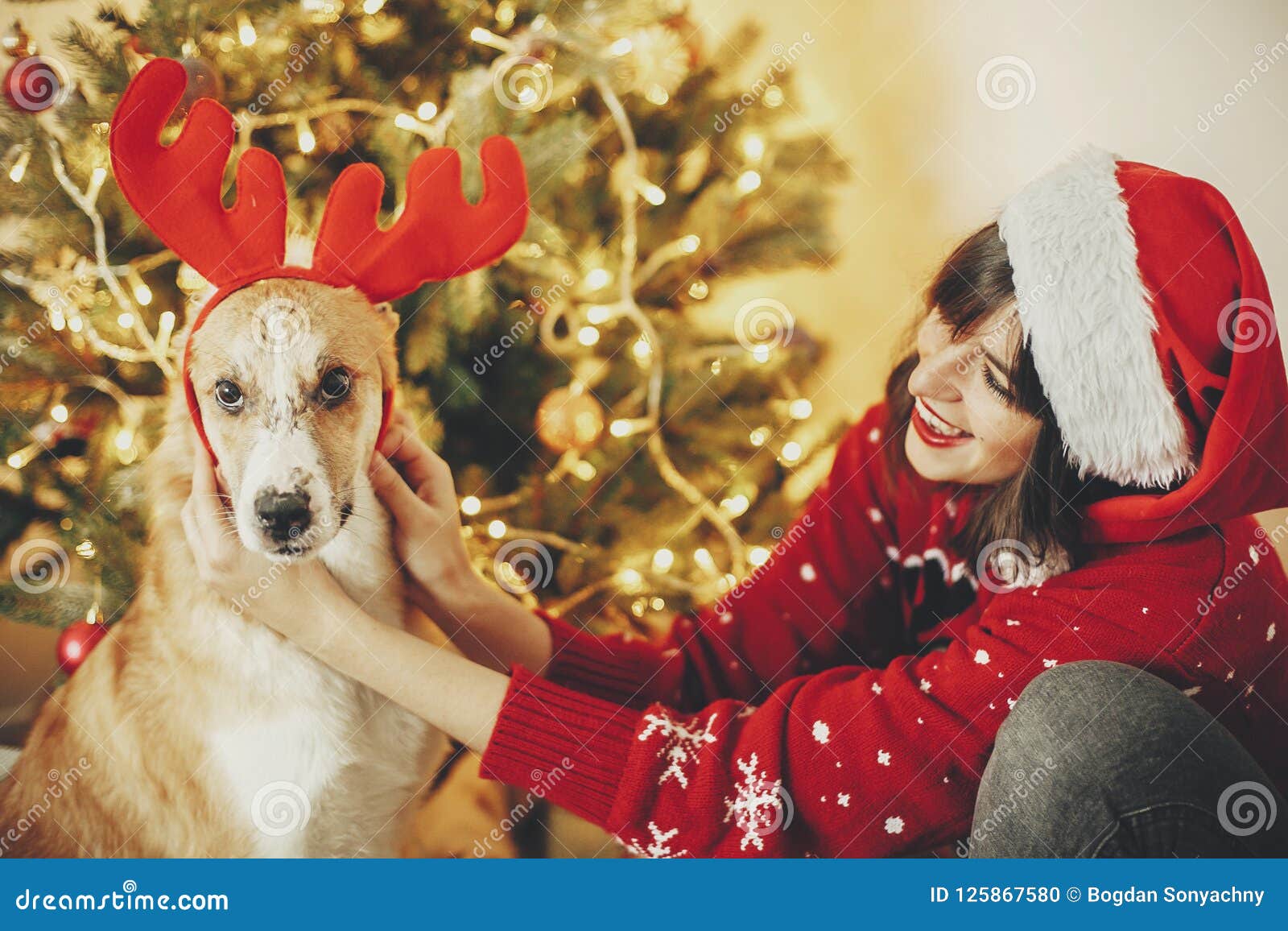 Girl Putting on Cute Dog Reindeer Antlers on Background of Golden ...