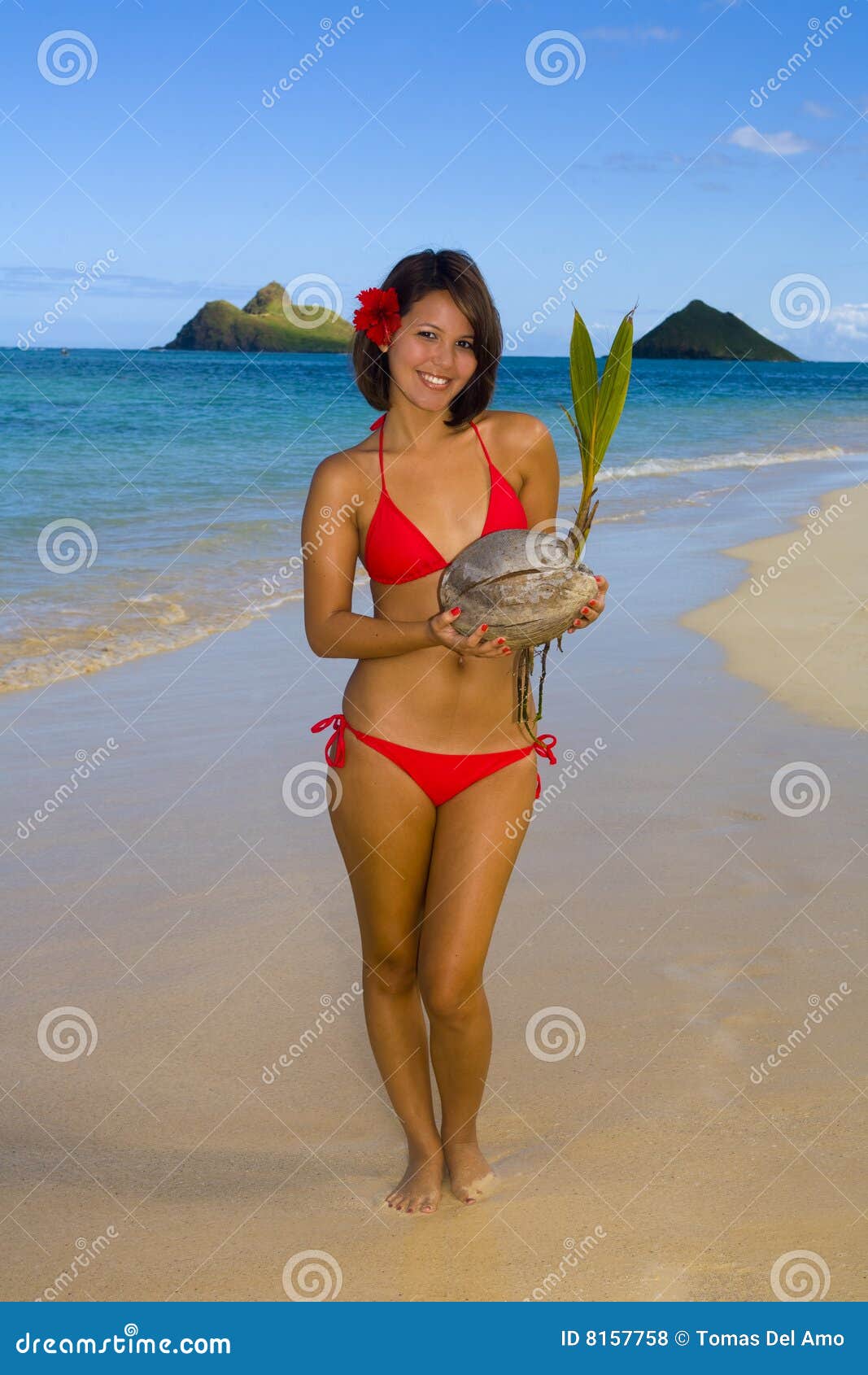 Girl in a Red Bikini on a Hawaii Beach Stock Photo Image of bikini