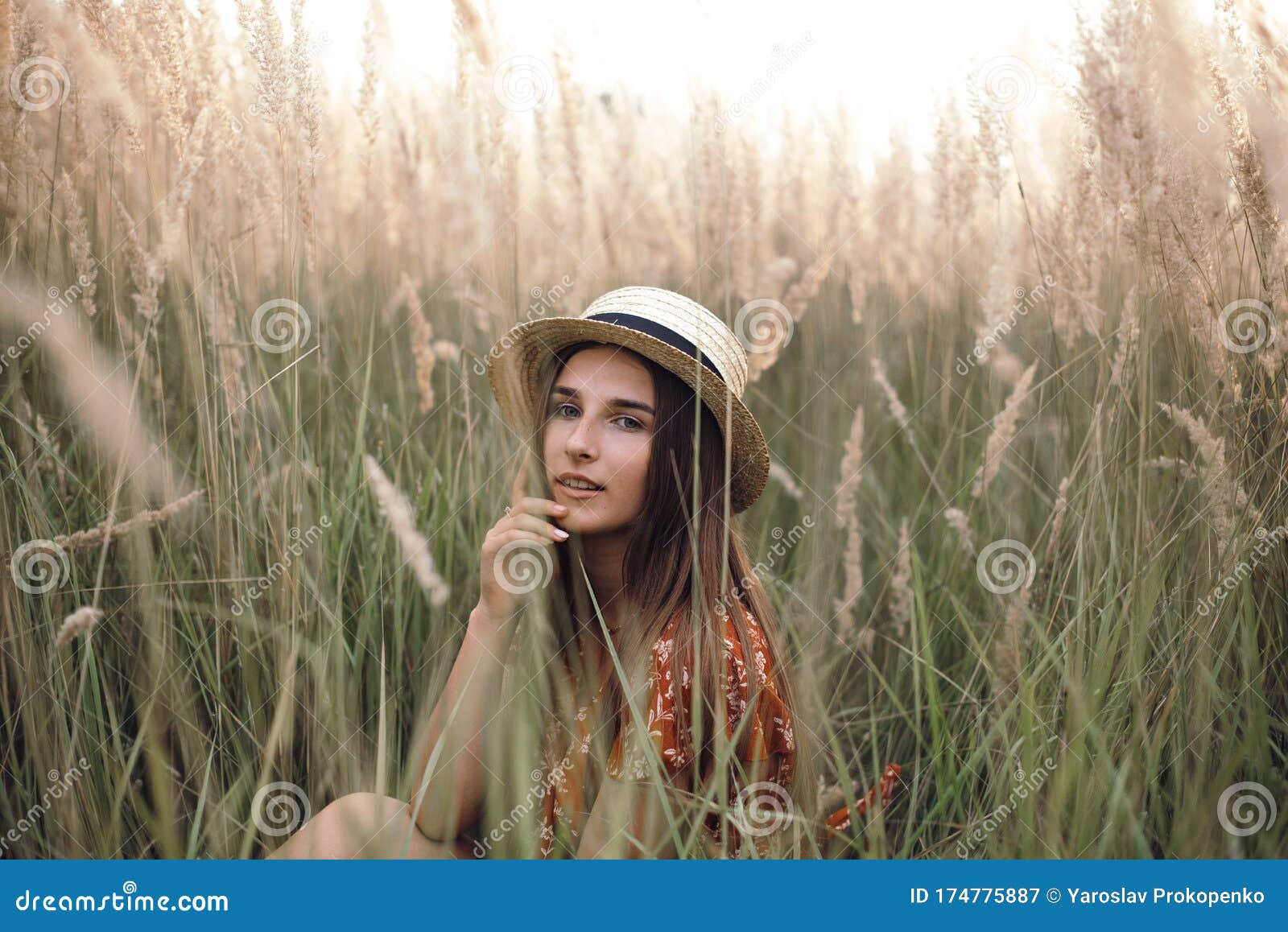 Girl in a Red Dress on a Wheat Field Stock Image - Image of model ...